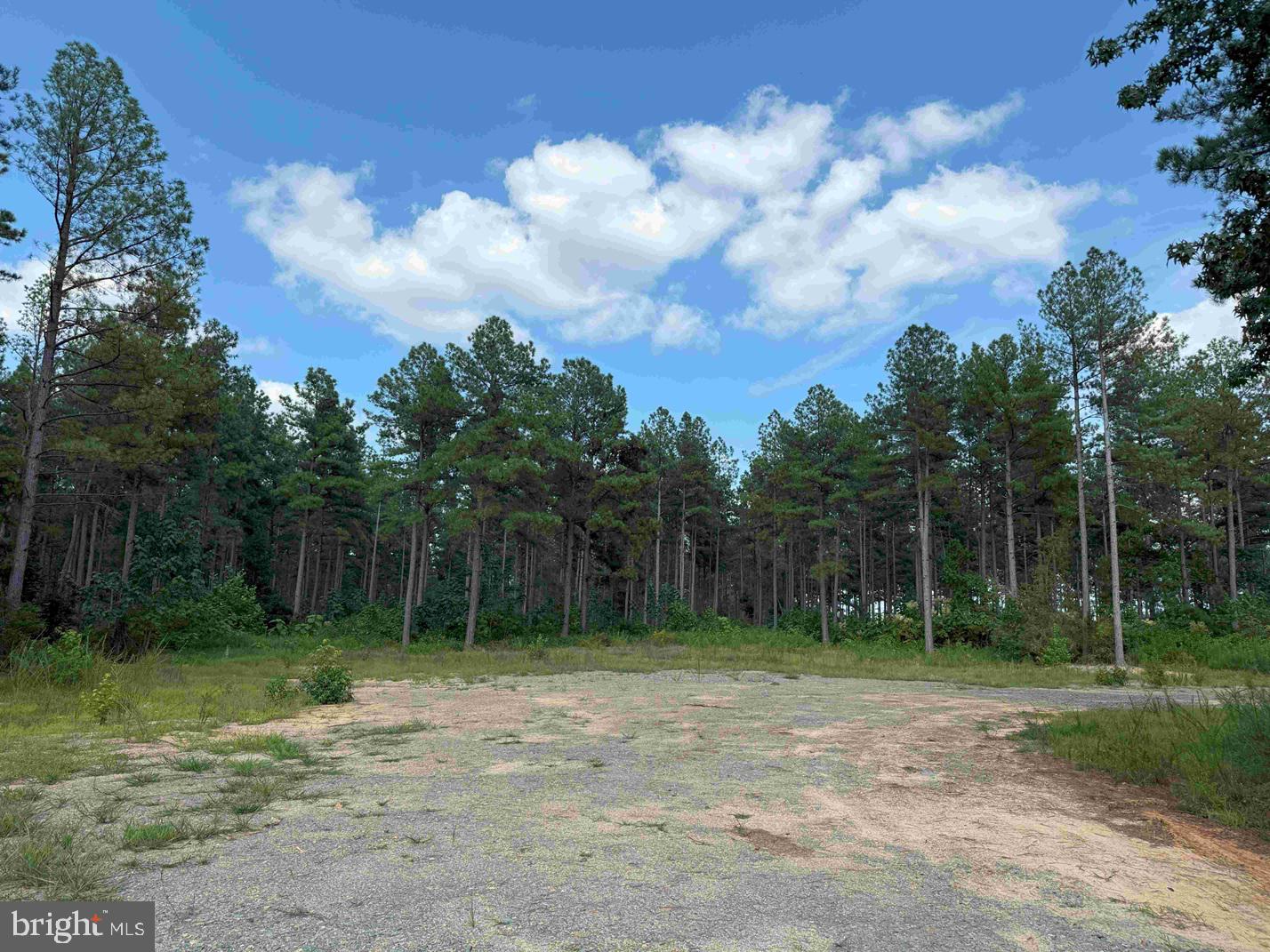 HOLLAND ROAD (TRACT: JR BEDFORD-BOWLES_SIMS-1)