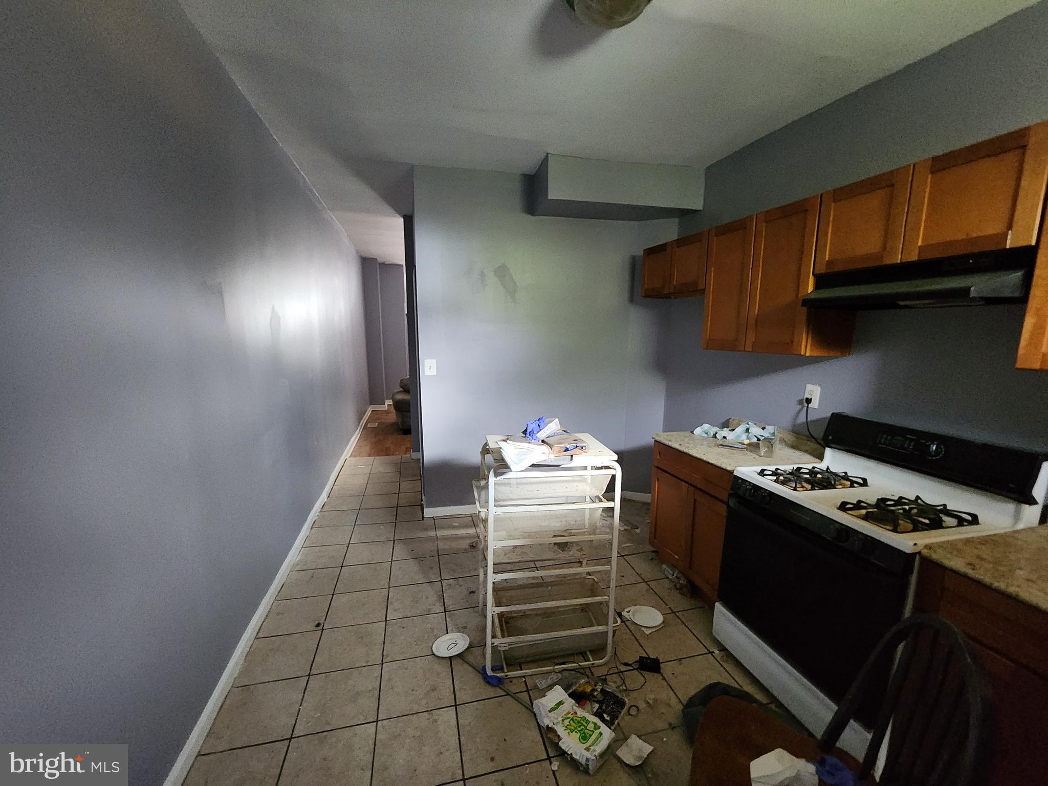 EAST BALTIMORE MIDWAY - Residential