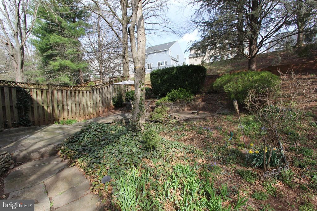 listing image 47