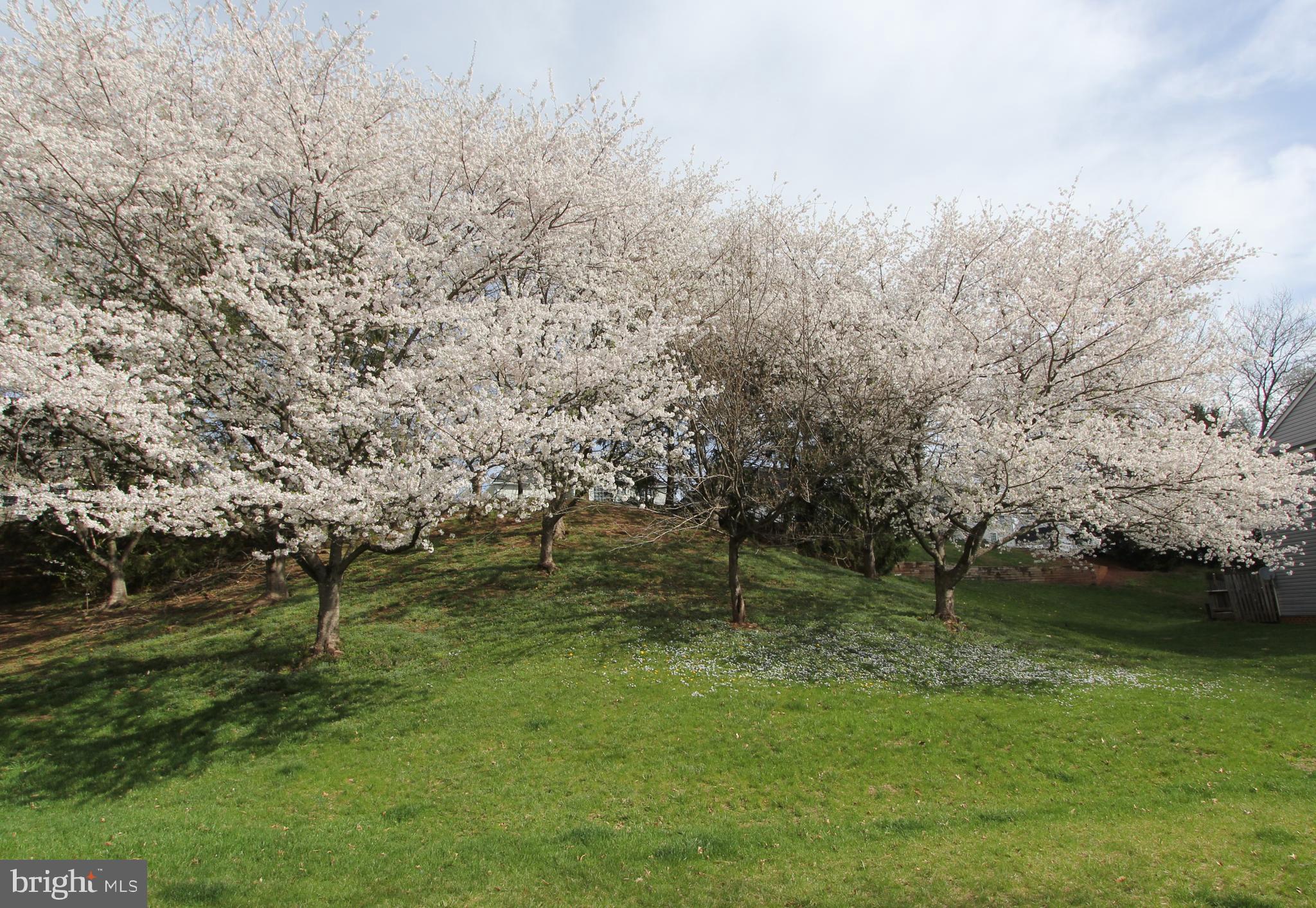 WHITTIER POND - Residential