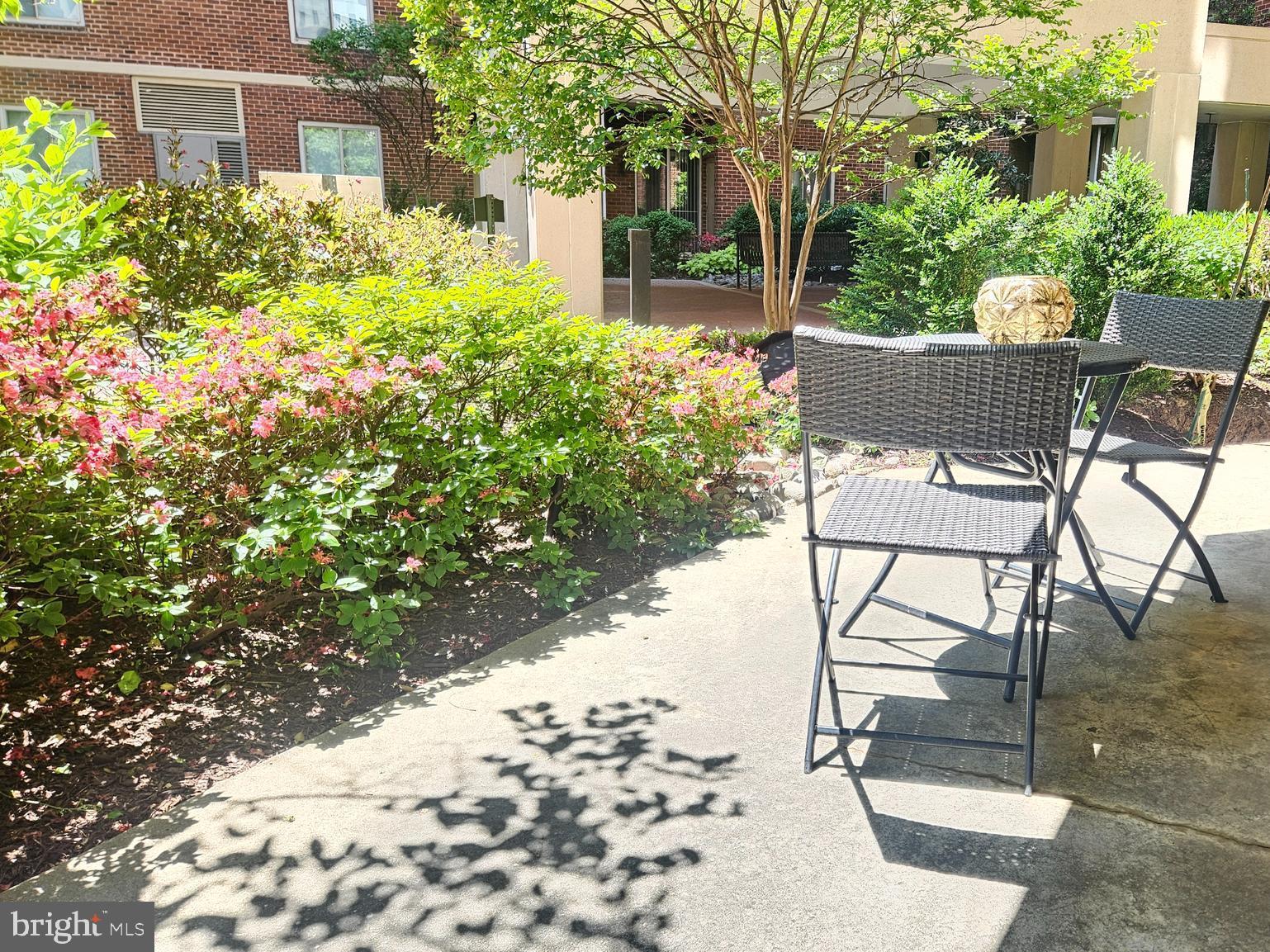 CHASE AT BETHESDA CODM - Residential
