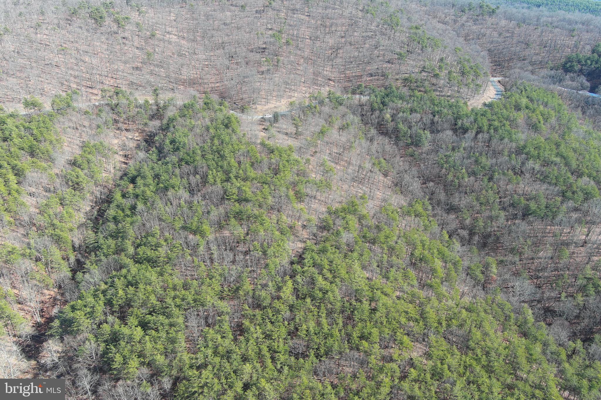 BLUFFS ON THE POTOMAC - Land