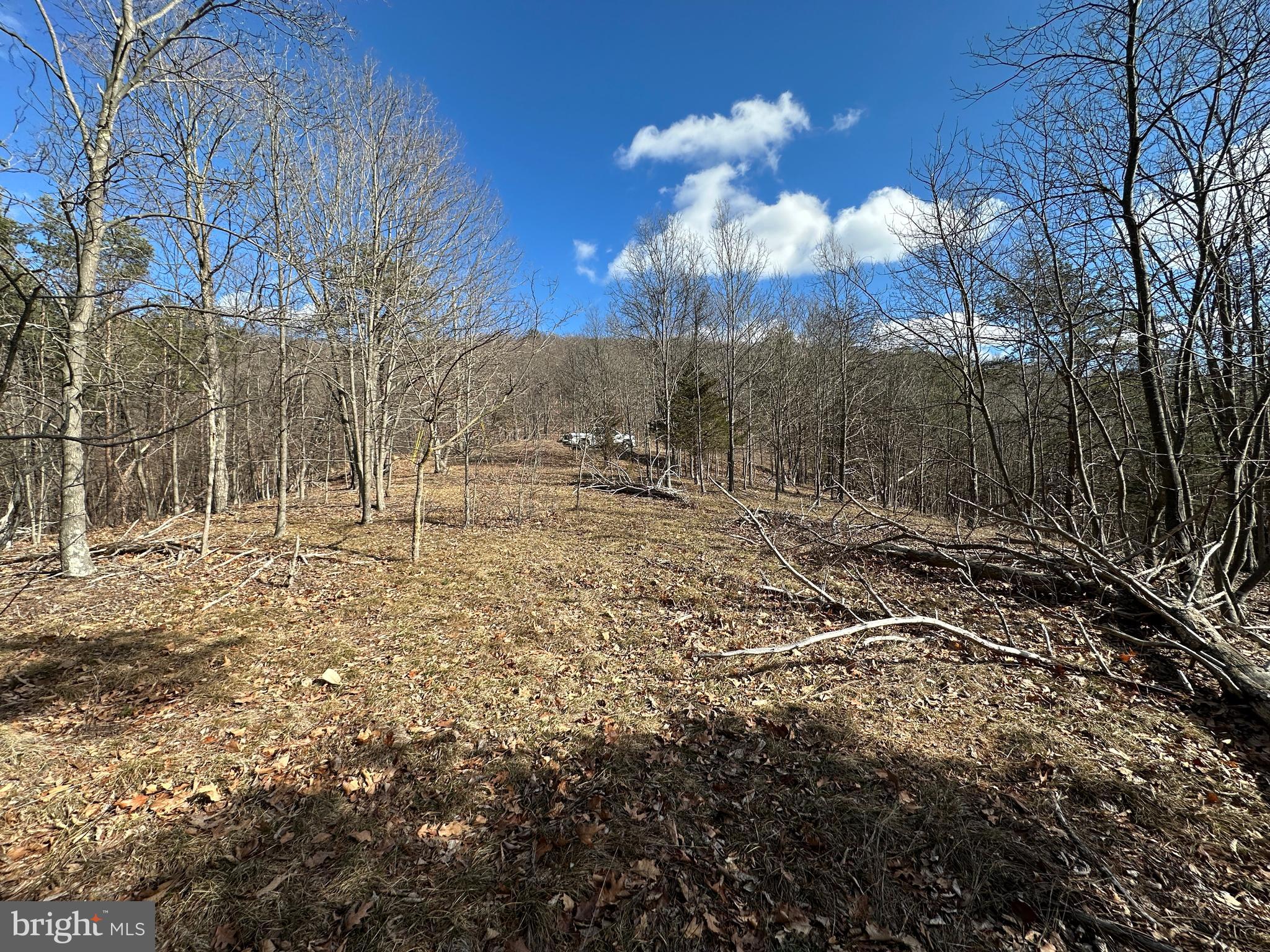 BLUFFS ON THE POTOMAC - Land