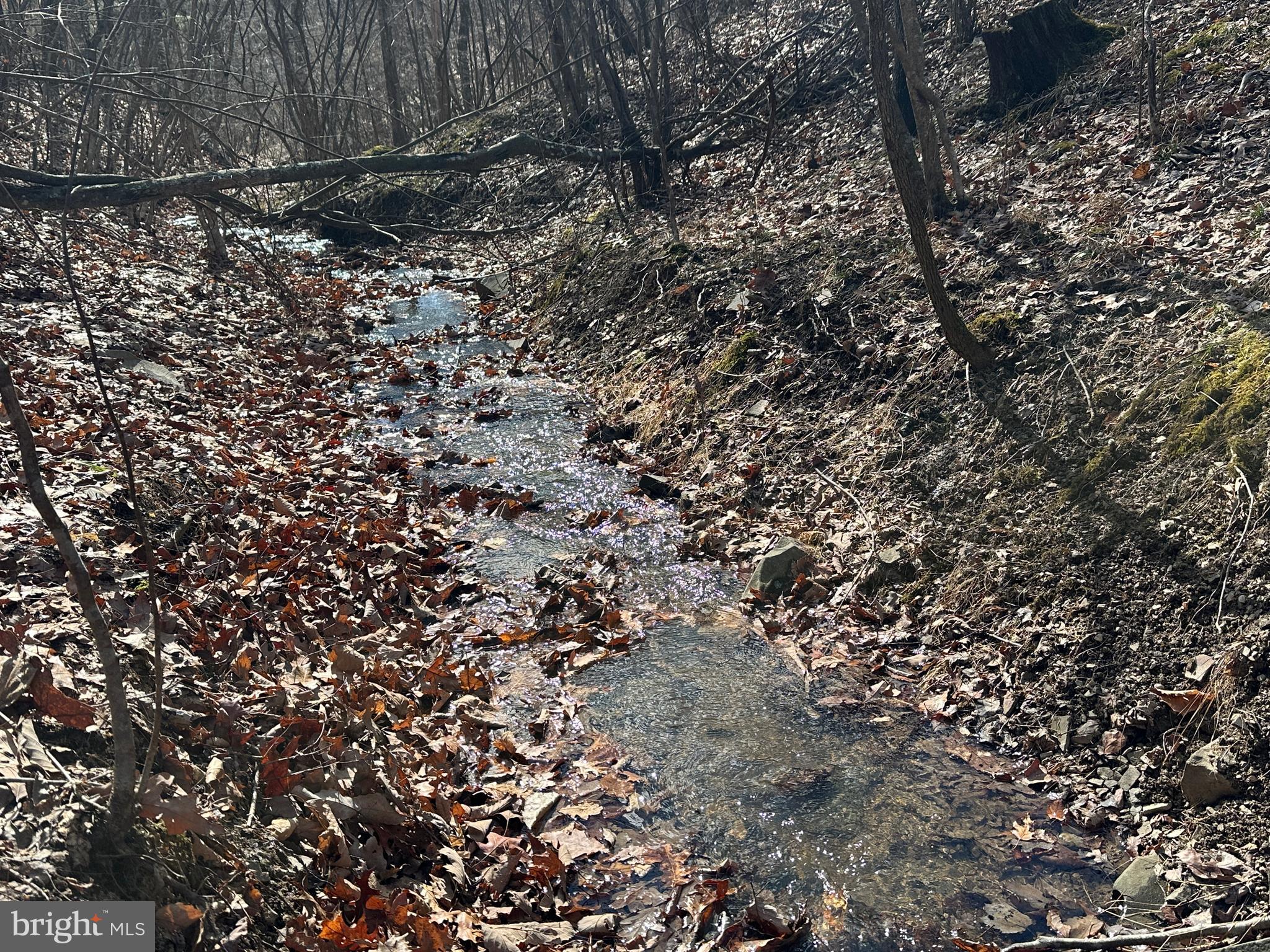 BLUFFS ON THE POTOMAC - Land