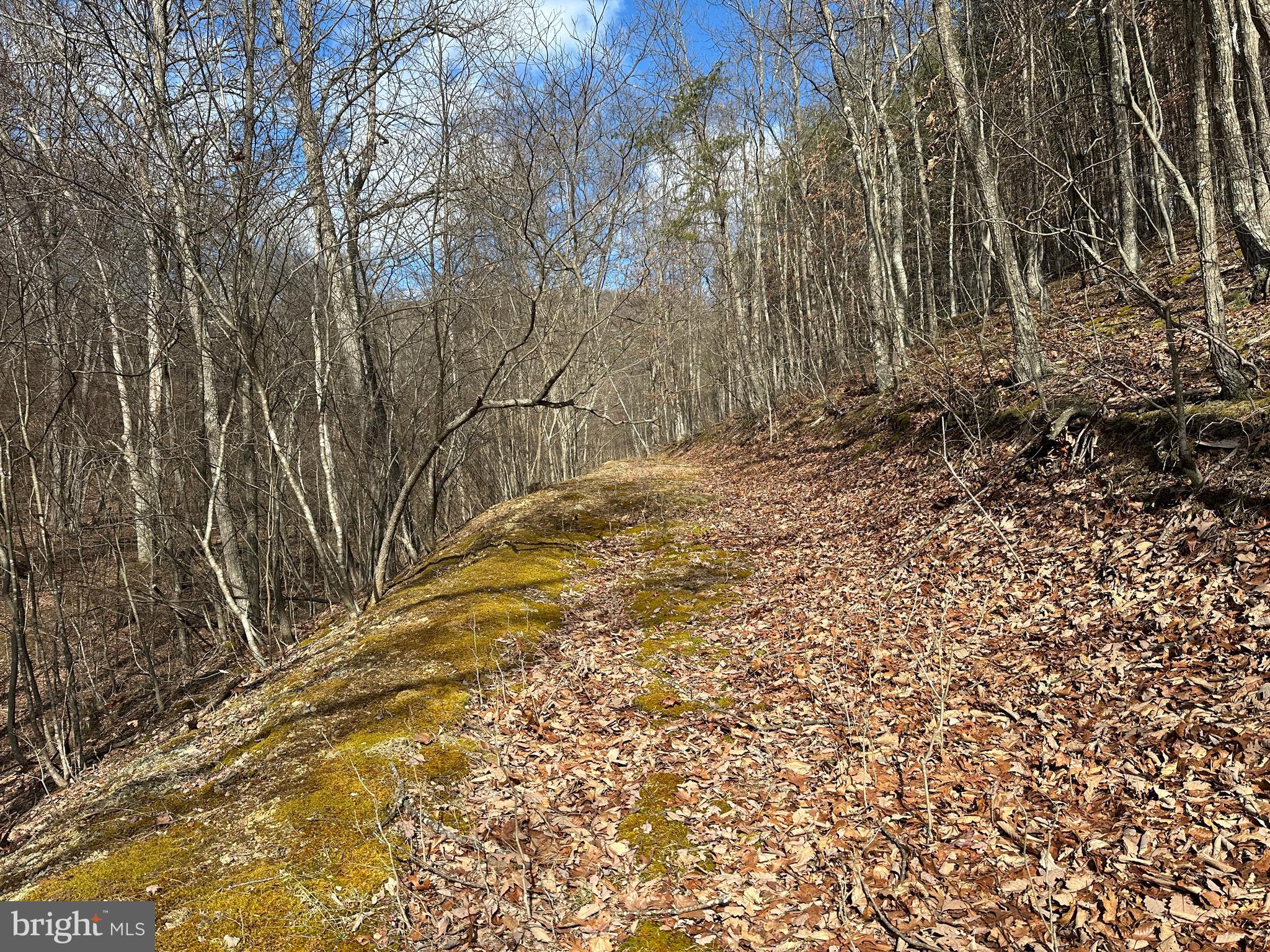 BLUFFS ON THE POTOMAC - Land
