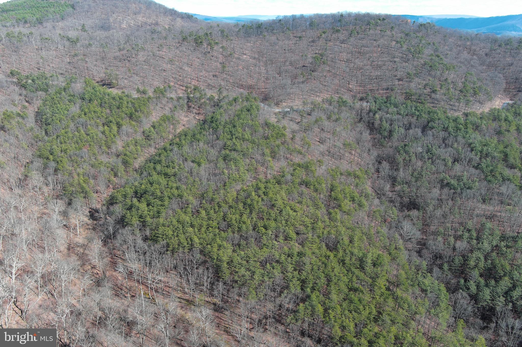 BLUFFS ON THE POTOMAC - Land