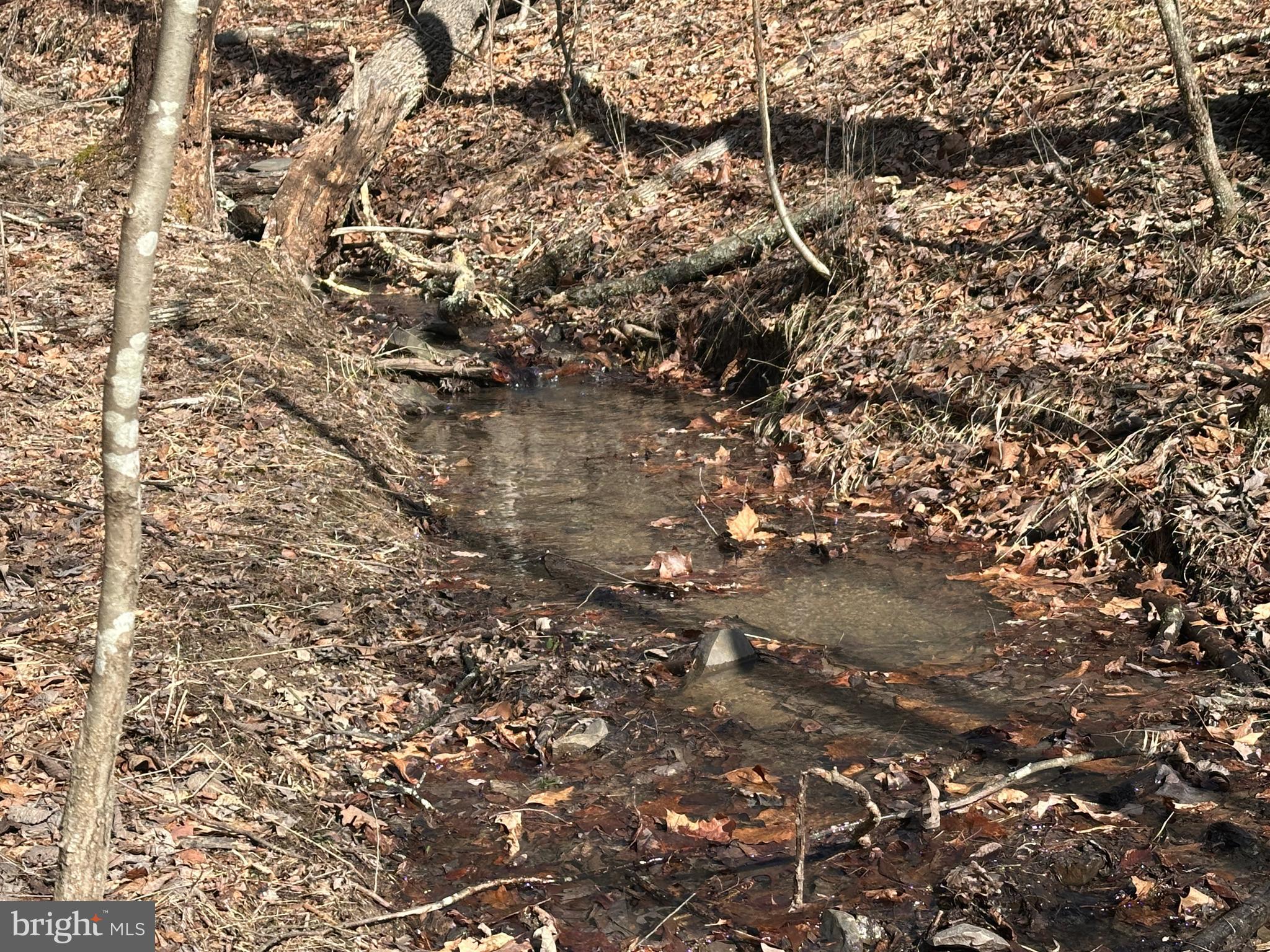 BLUFFS ON THE POTOMAC - Land