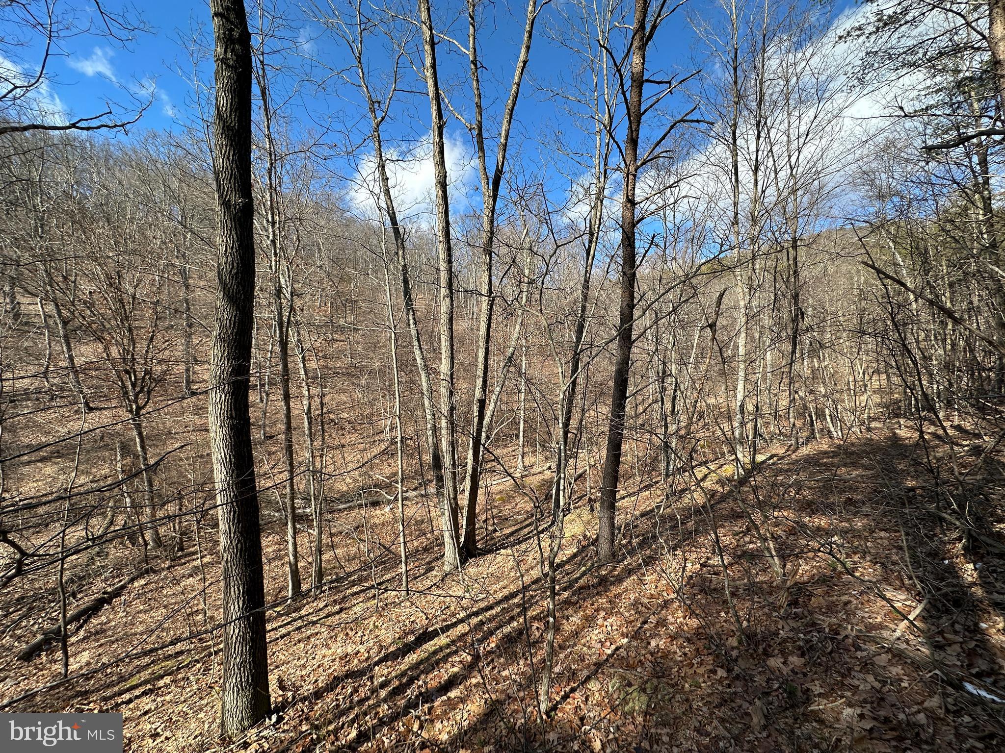 BLUFFS ON THE POTOMAC - Land