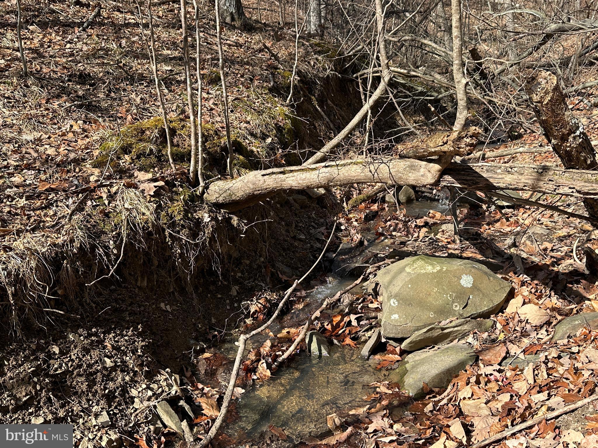 BLUFFS ON THE POTOMAC - Land