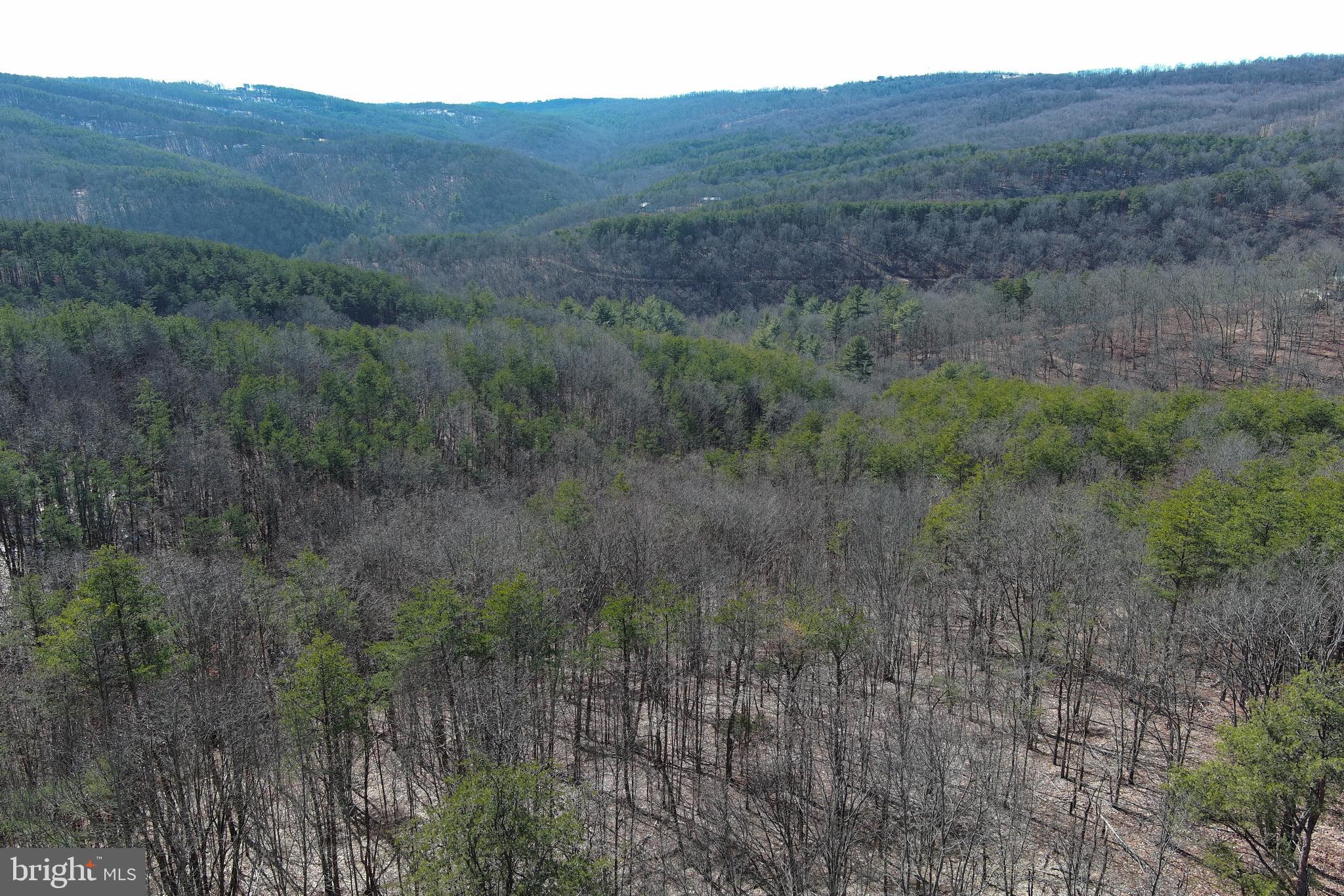 BLUFFS ON THE POTOMAC - Land