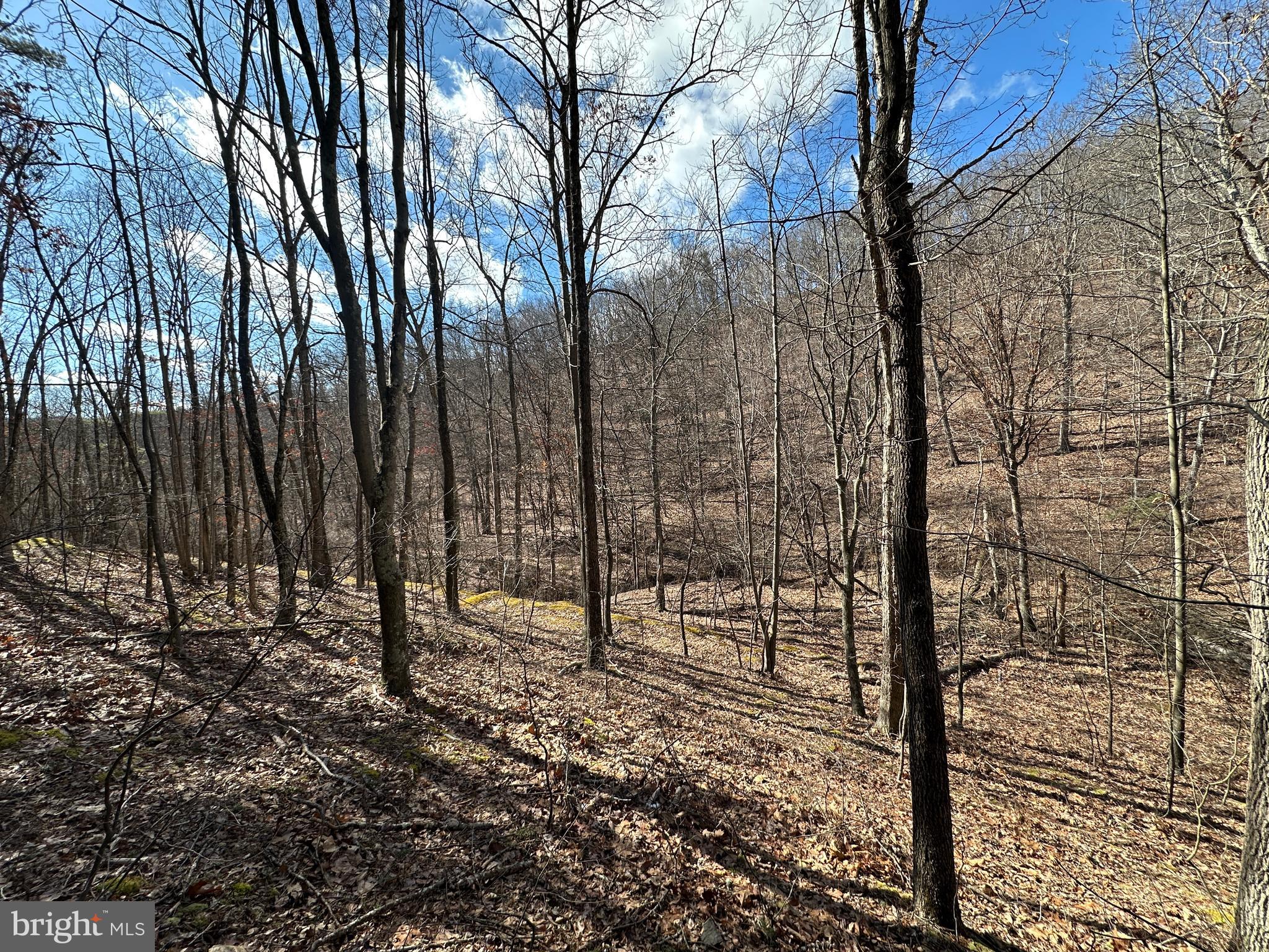 BLUFFS ON THE POTOMAC - Land