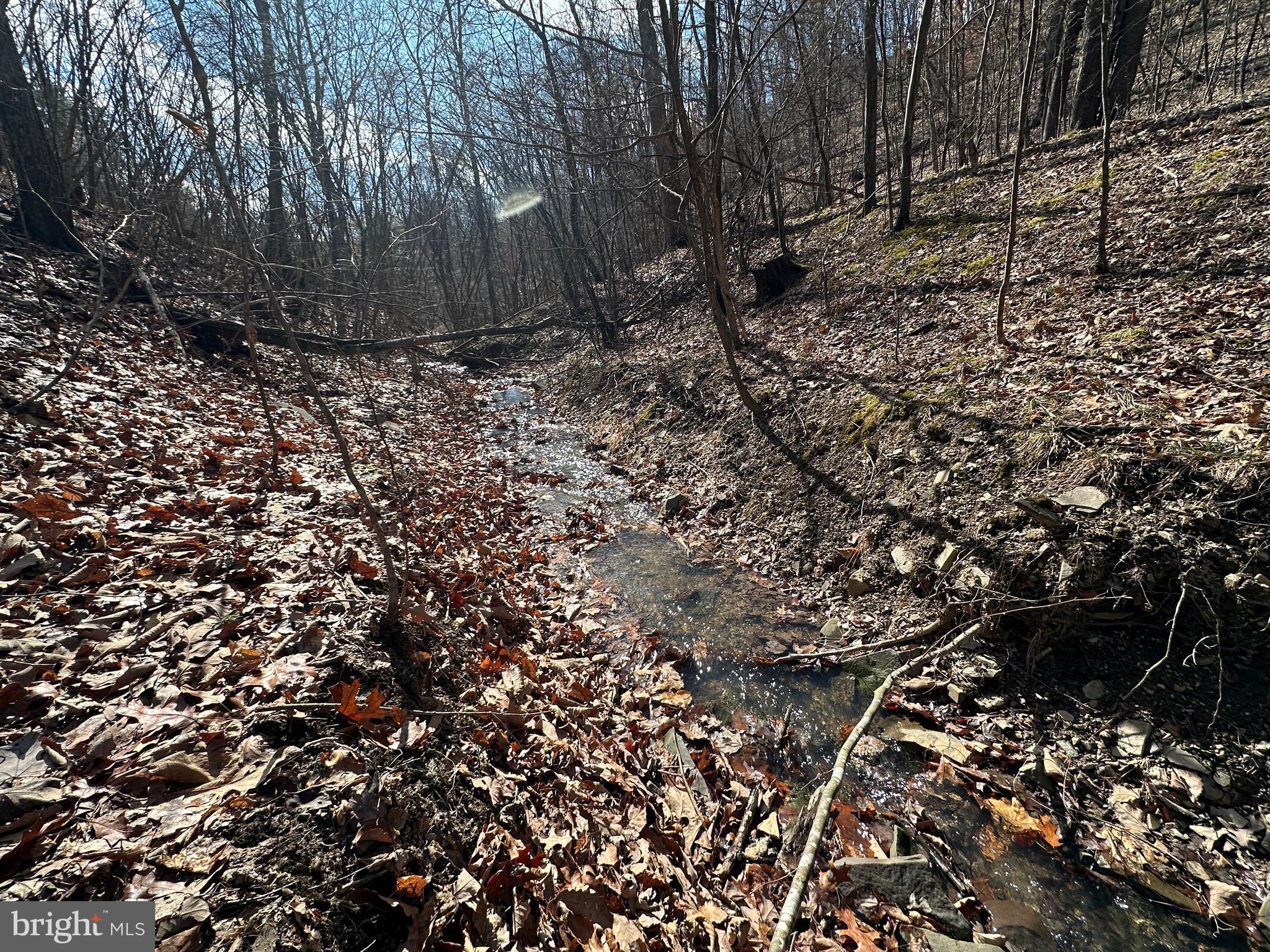 BLUFFS ON THE POTOMAC - Land