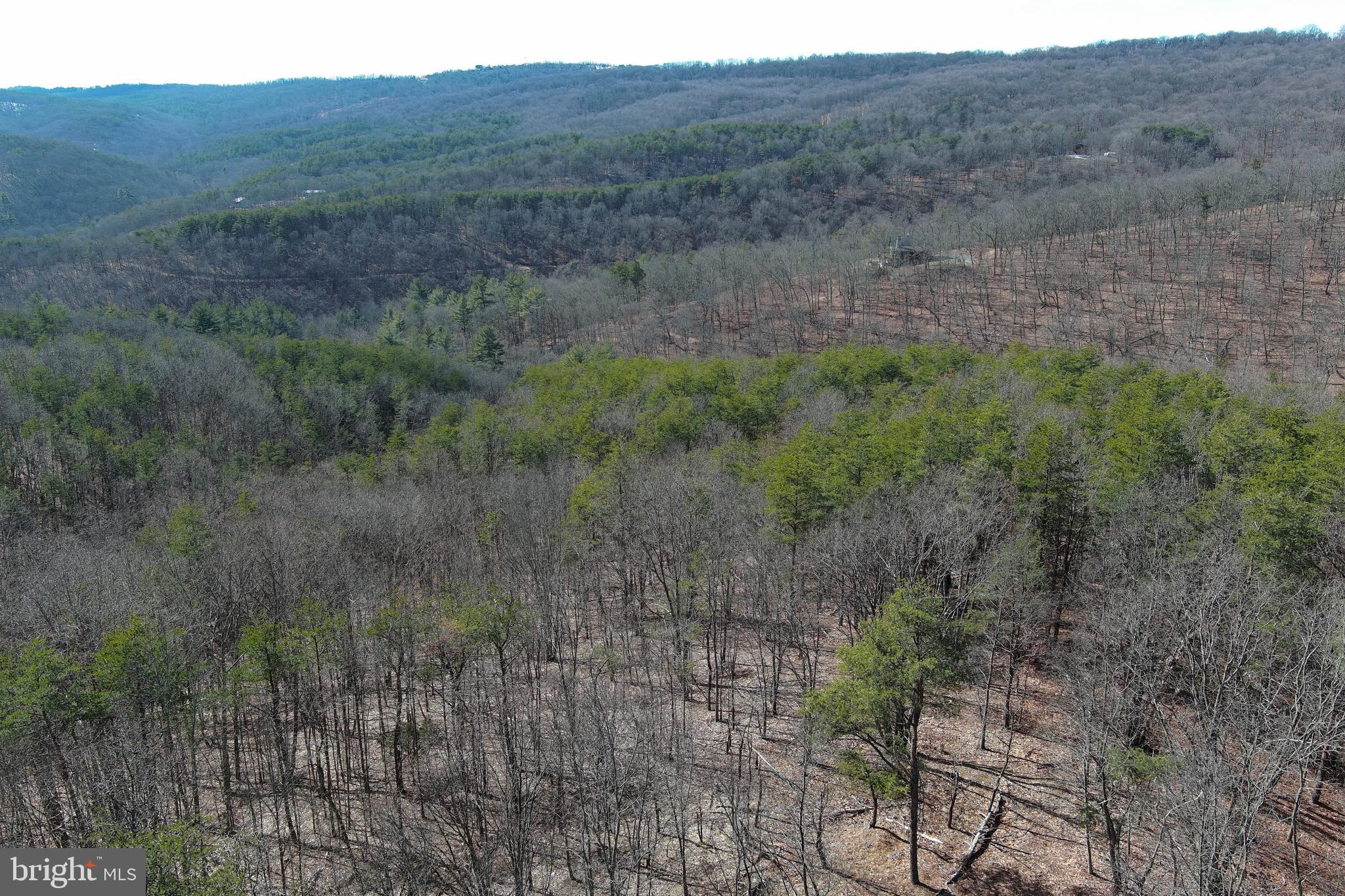 BLUFFS ON THE POTOMAC - Land