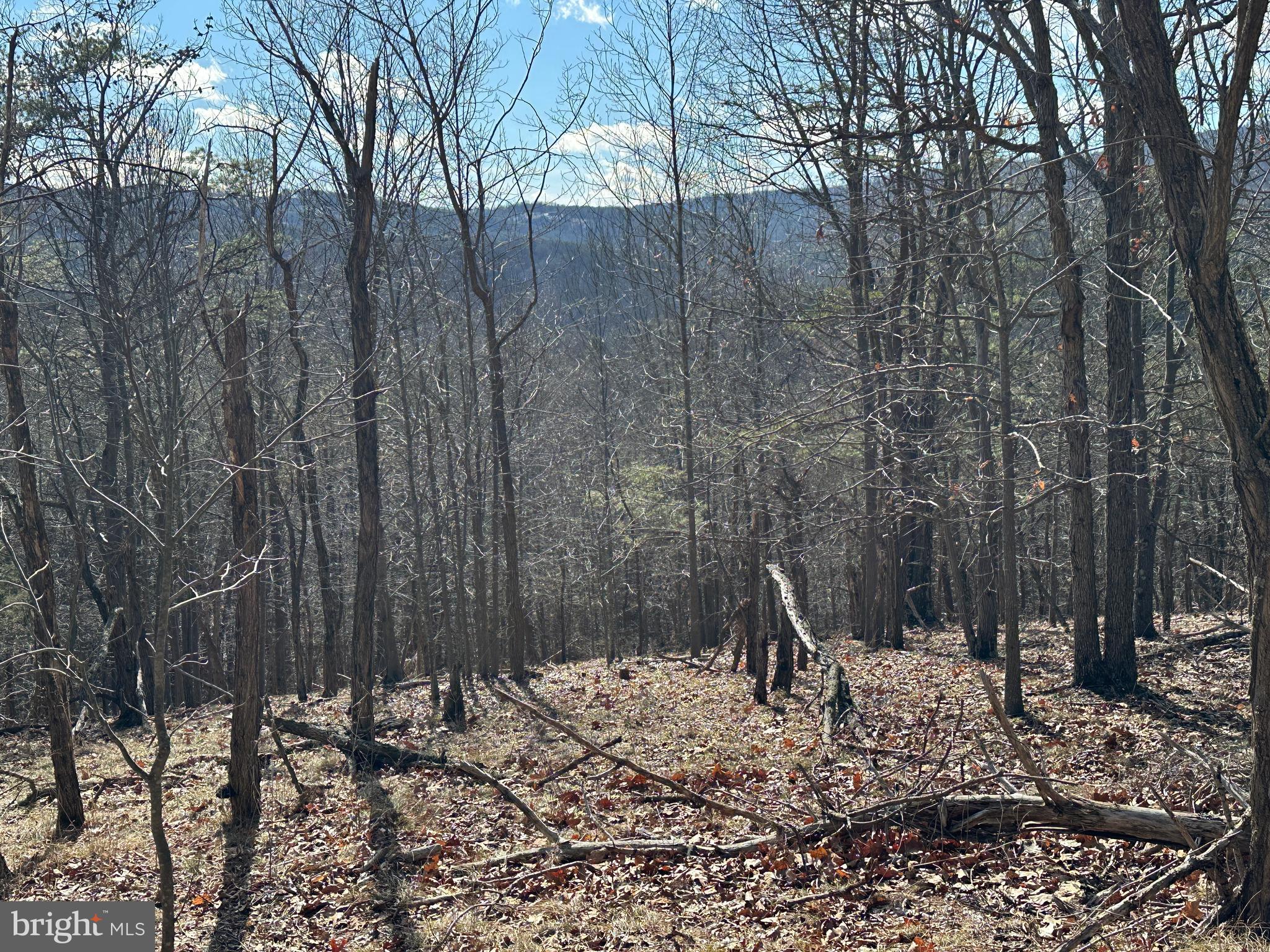 BLUFFS ON THE POTOMAC - Land