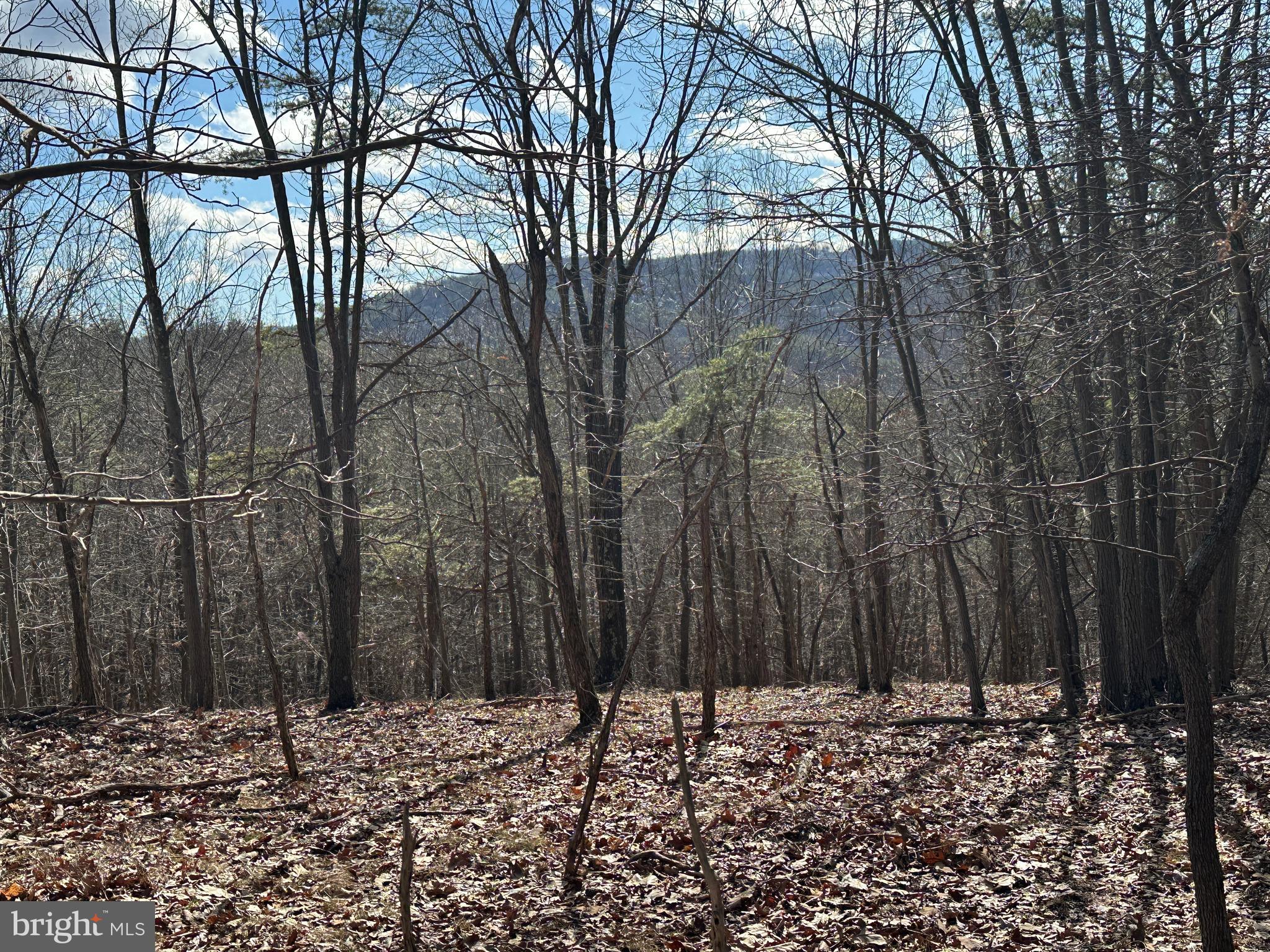 BLUFFS ON THE POTOMAC - Land