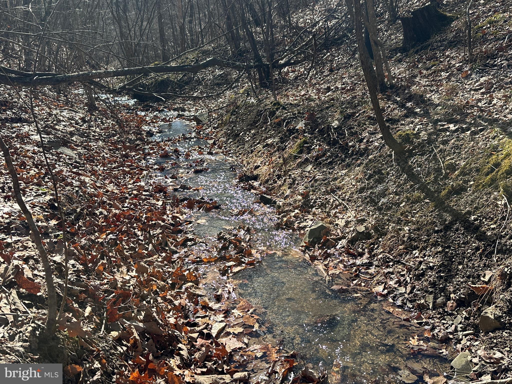 BLUFFS ON THE POTOMAC - Land