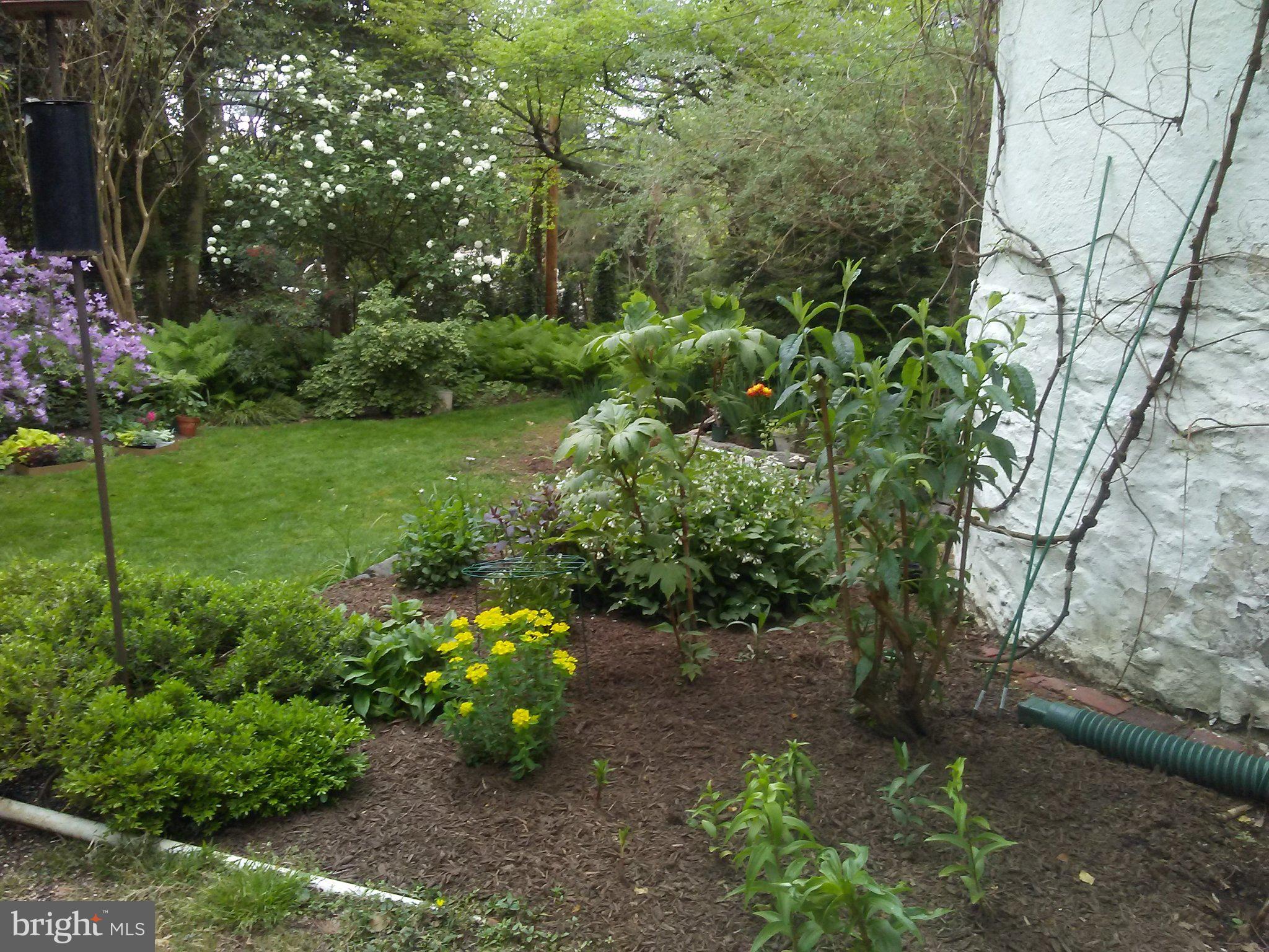 4 SWARTHMORE PLACE