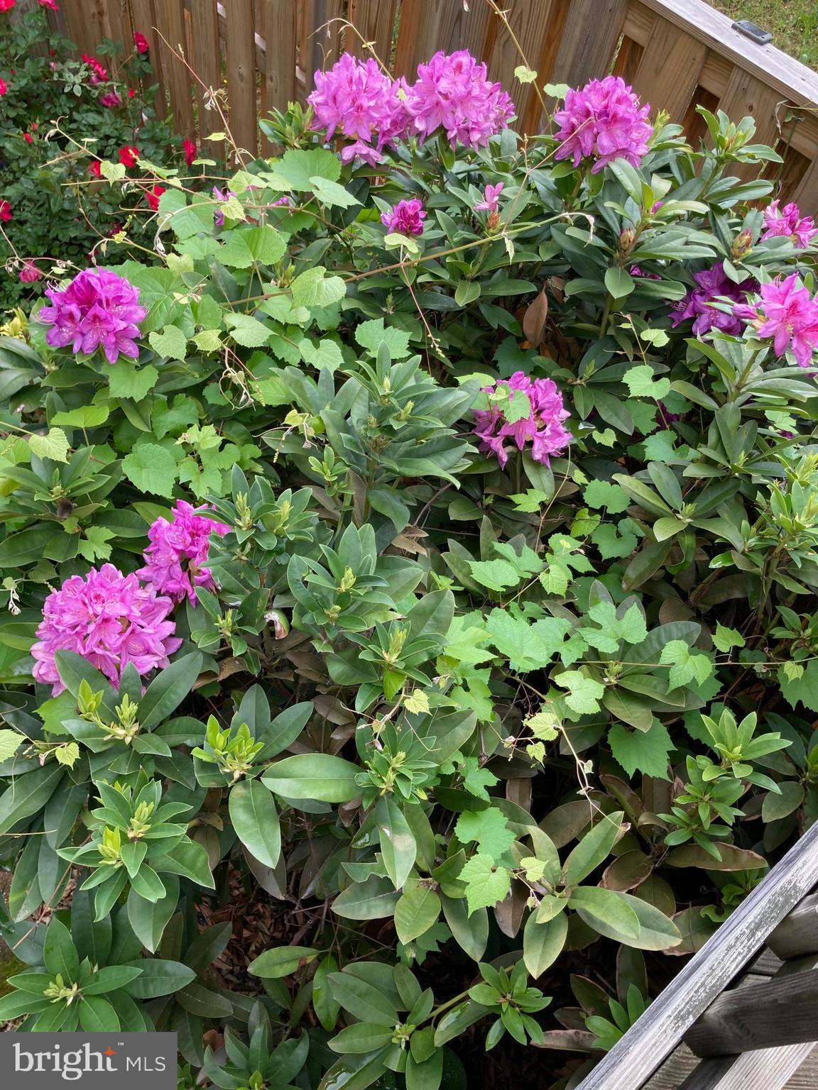 WELLINGTON/CLOVERHILL - Residential