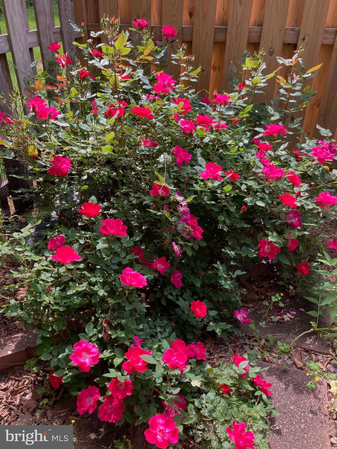 WELLINGTON/CLOVERHILL - Residential