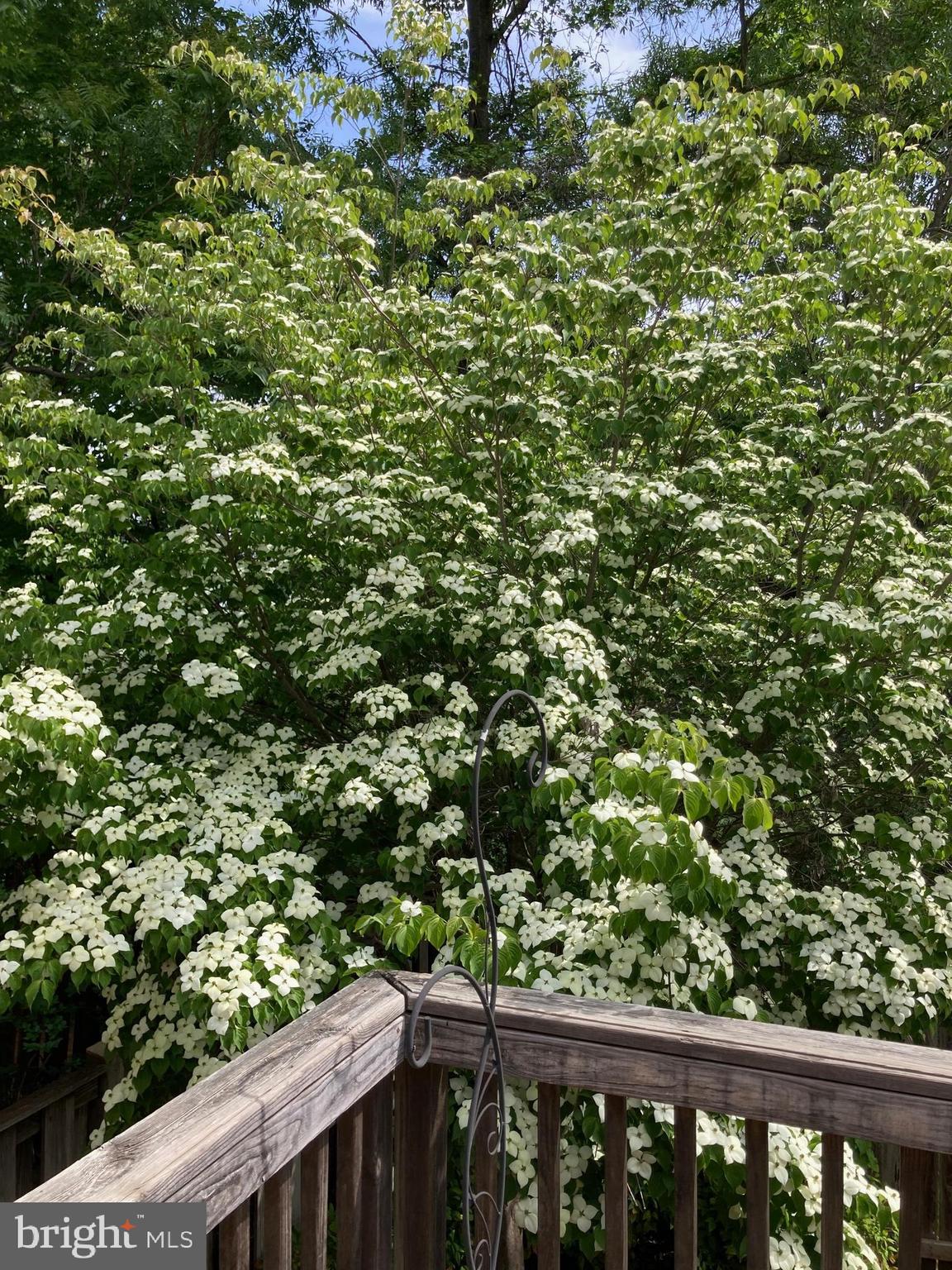 WELLINGTON/CLOVERHILL - Residential