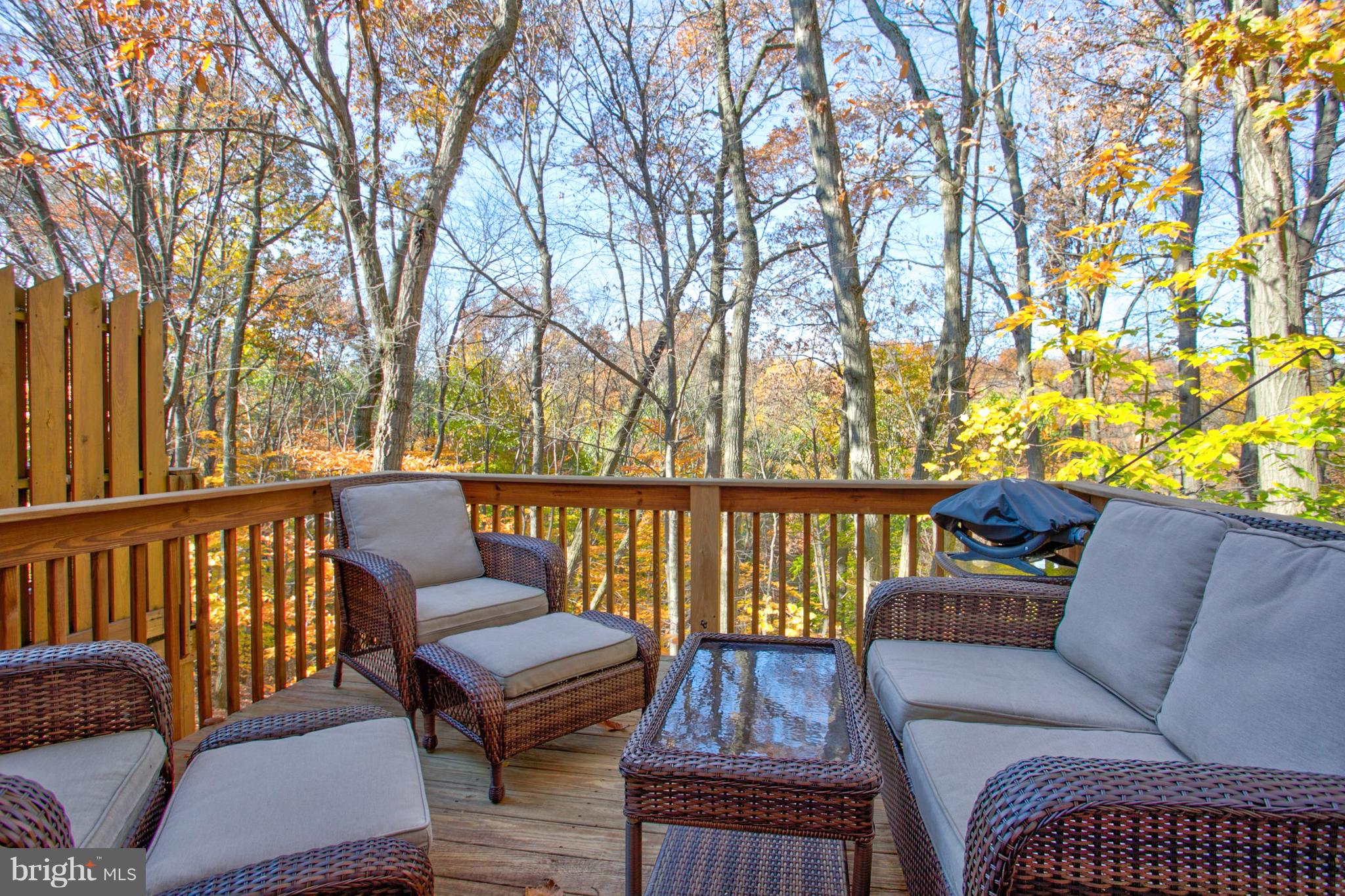 WOODS AT TREETOPS - Residential