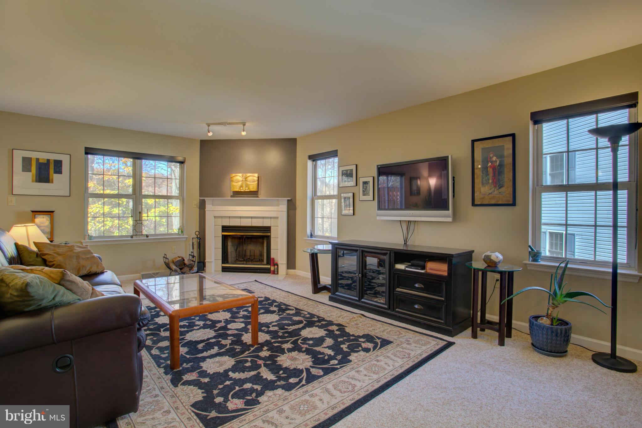 WOODS AT TREETOPS - Residential
