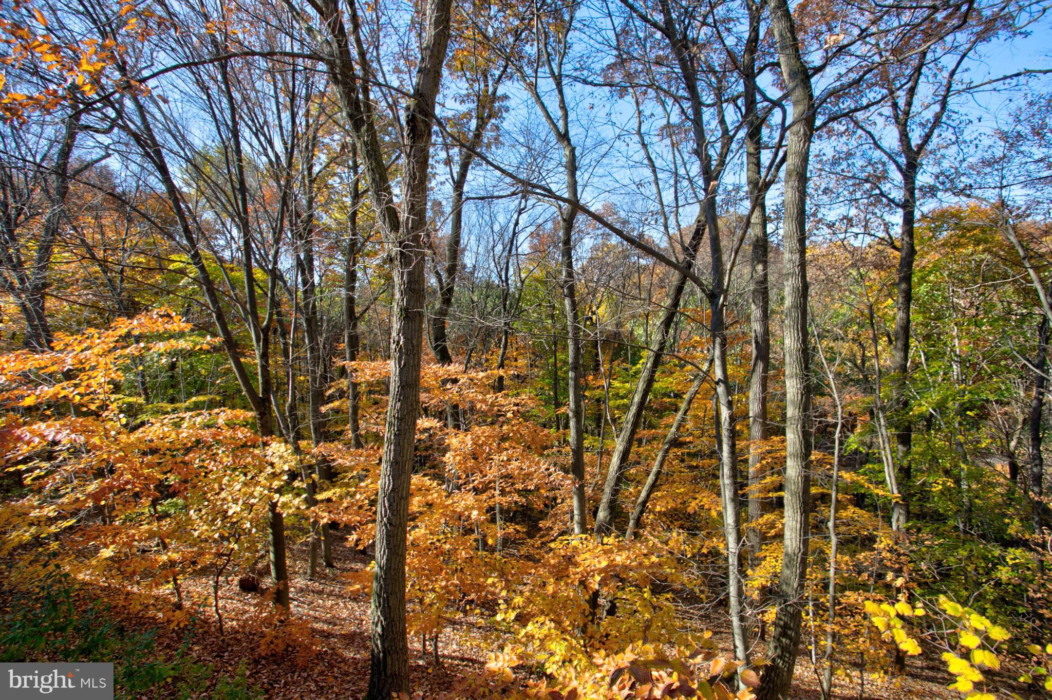 WOODS AT TREETOPS - Residential