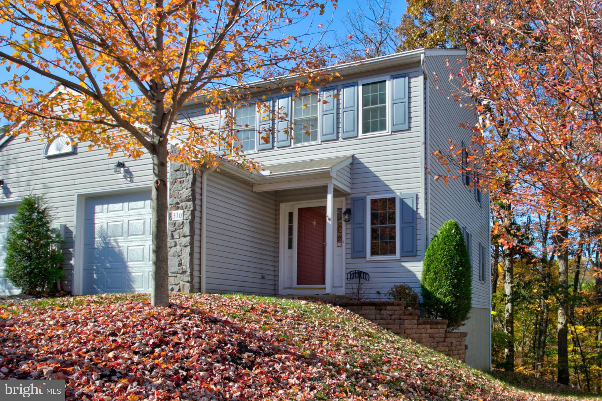 WOODS AT TREETOPS - Residential