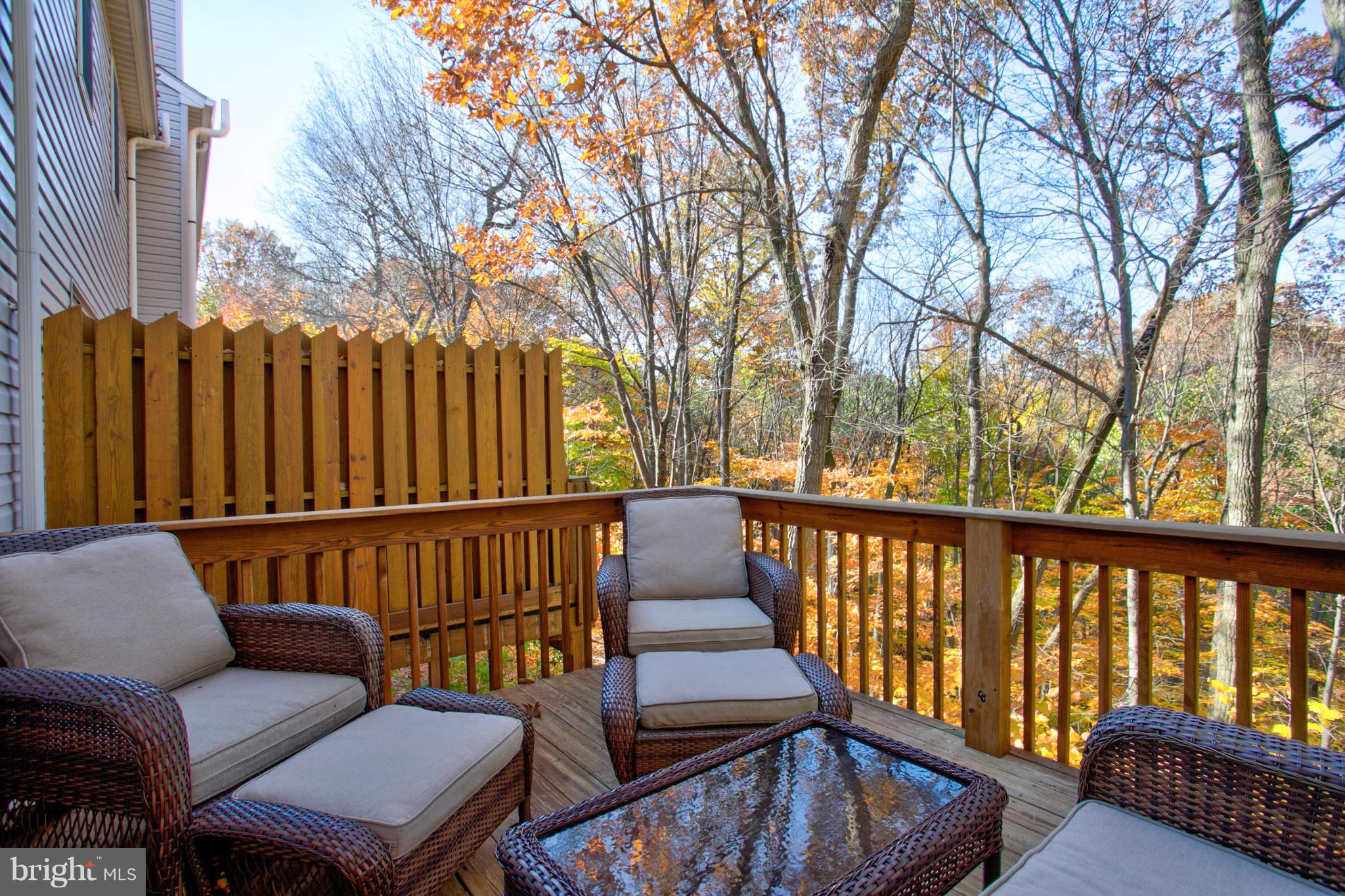 WOODS AT TREETOPS - Residential