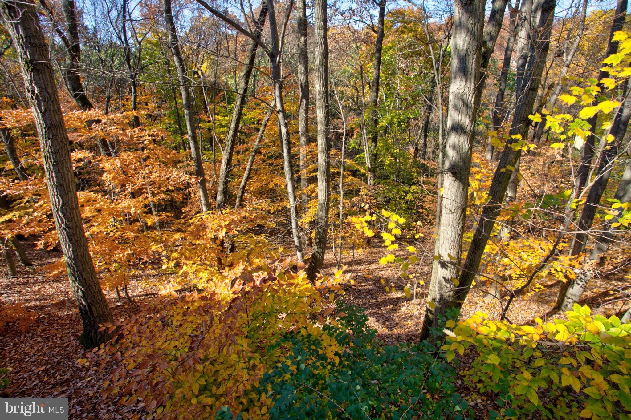 WOODS AT TREETOPS - Residential