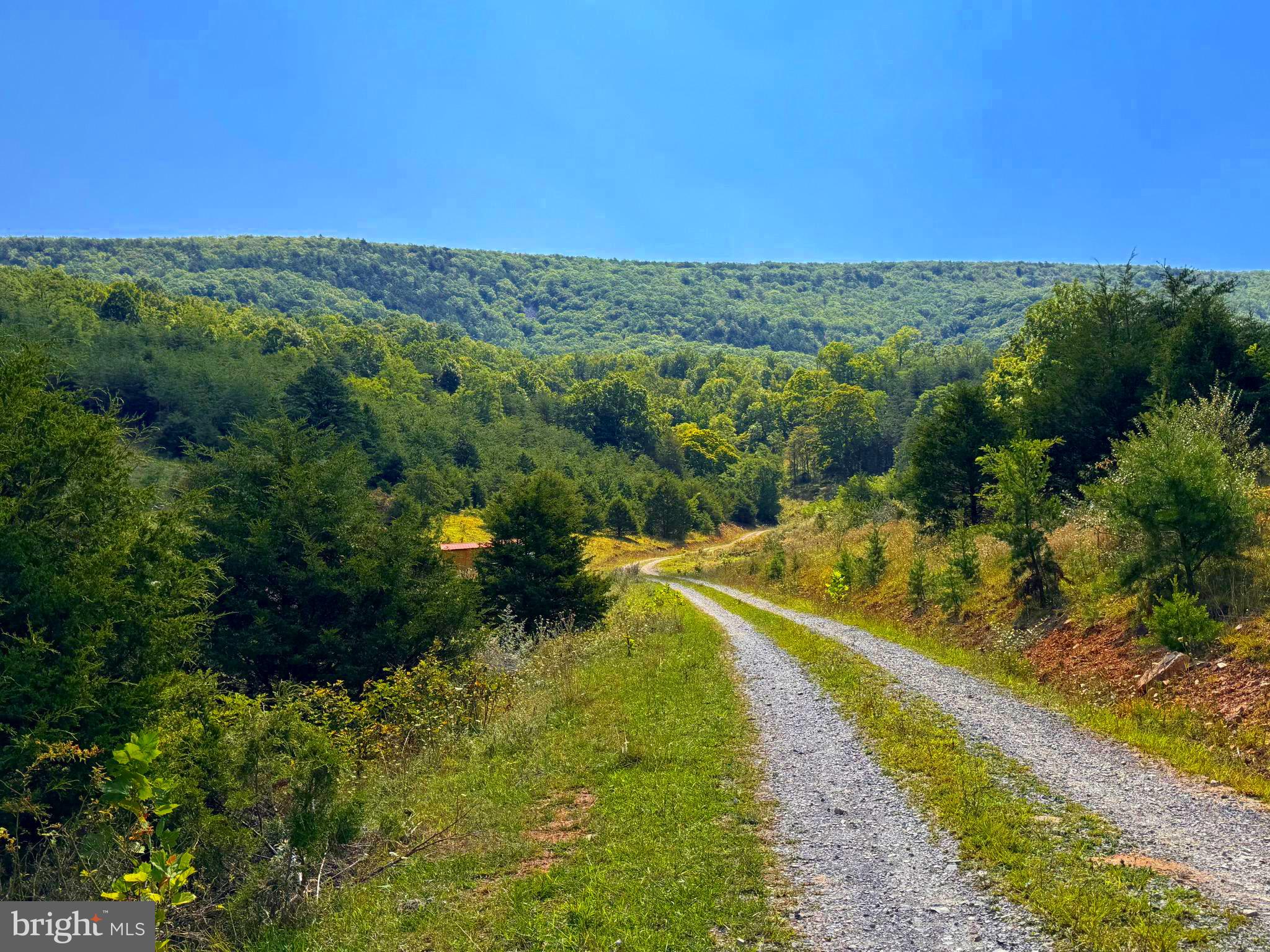 411 Rimfire Road; JORDAN RUN ROAD
