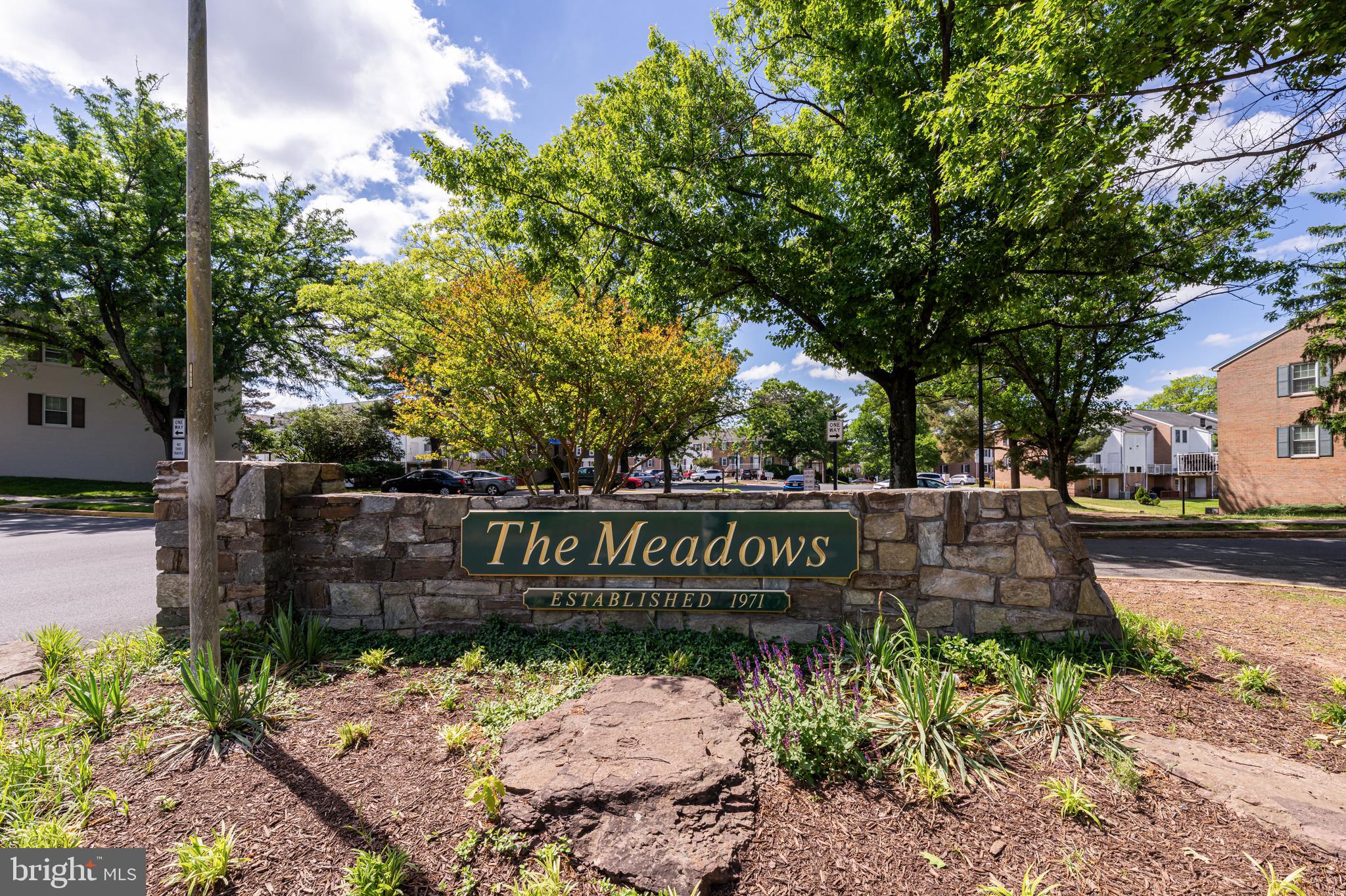 THE MEADOWS - Residential