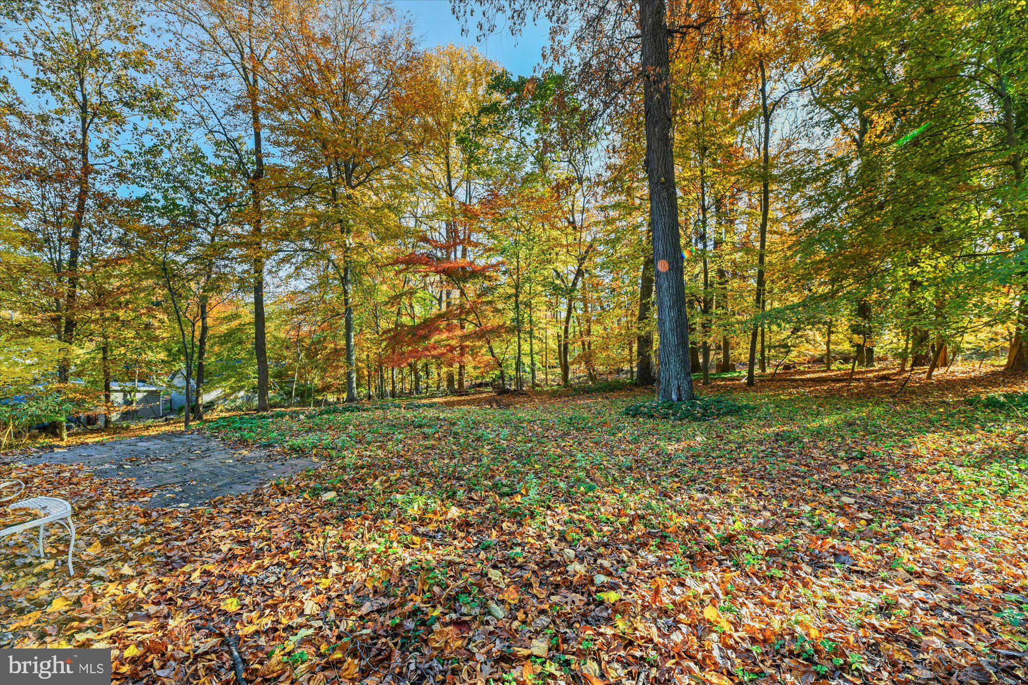 CHAPEL HILL - Residential