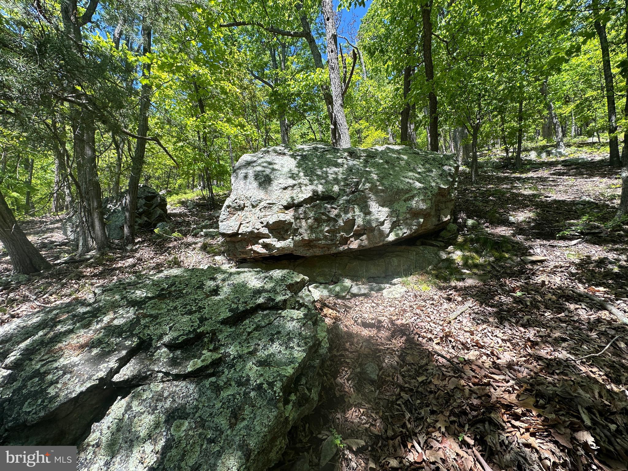 NONE UNRESTRICTED - Land