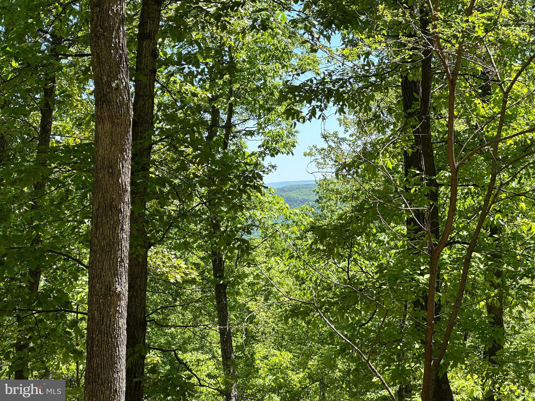 NONE UNRESTRICTED - Land