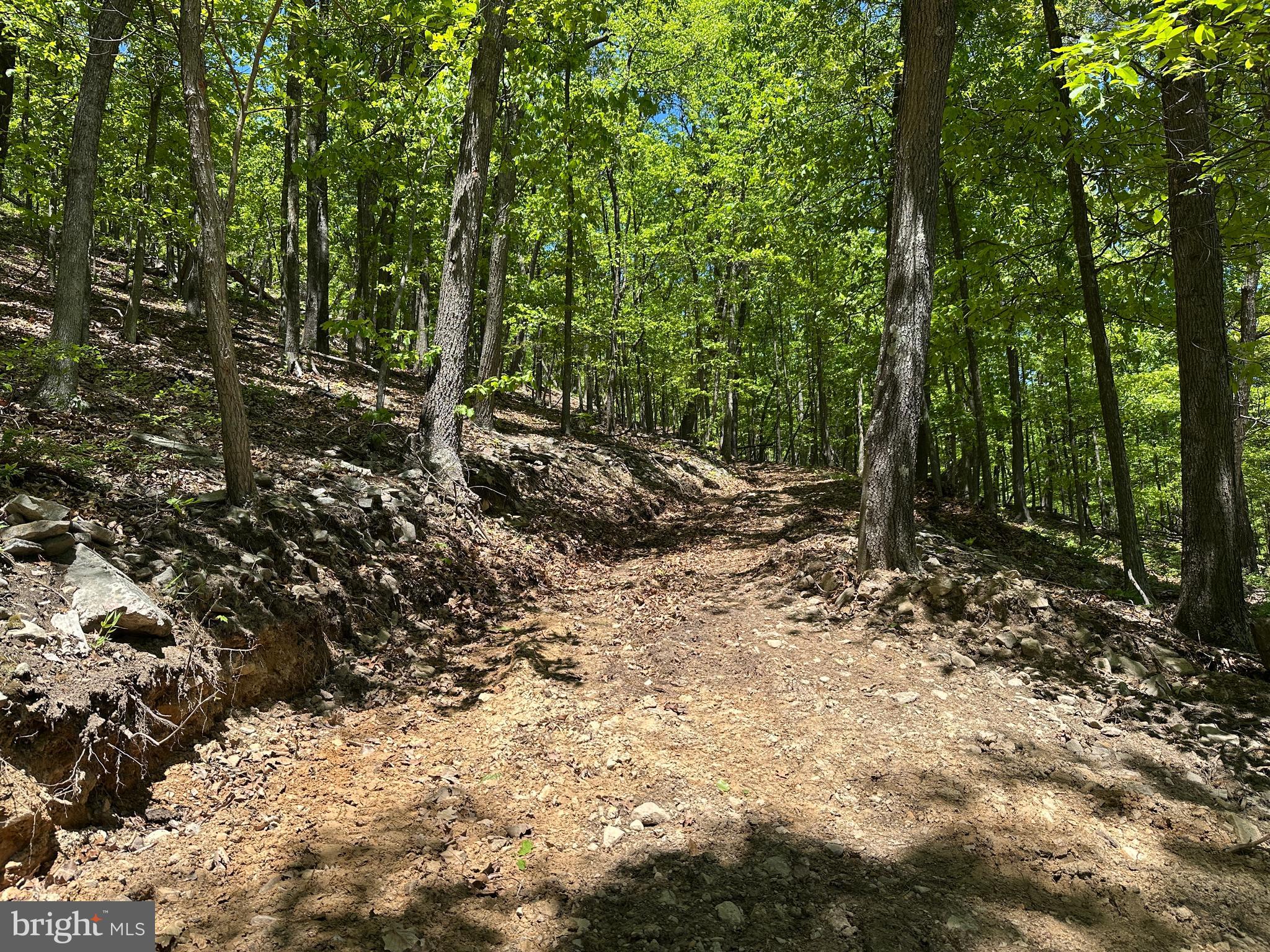 NONE UNRESTRICTED - Land