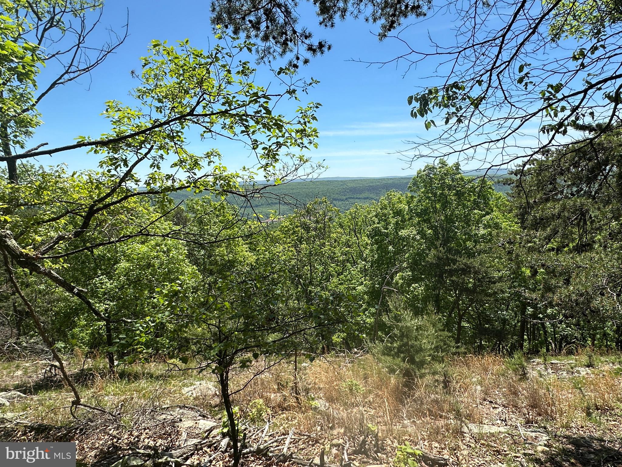 NONE UNRESTRICTED - Land