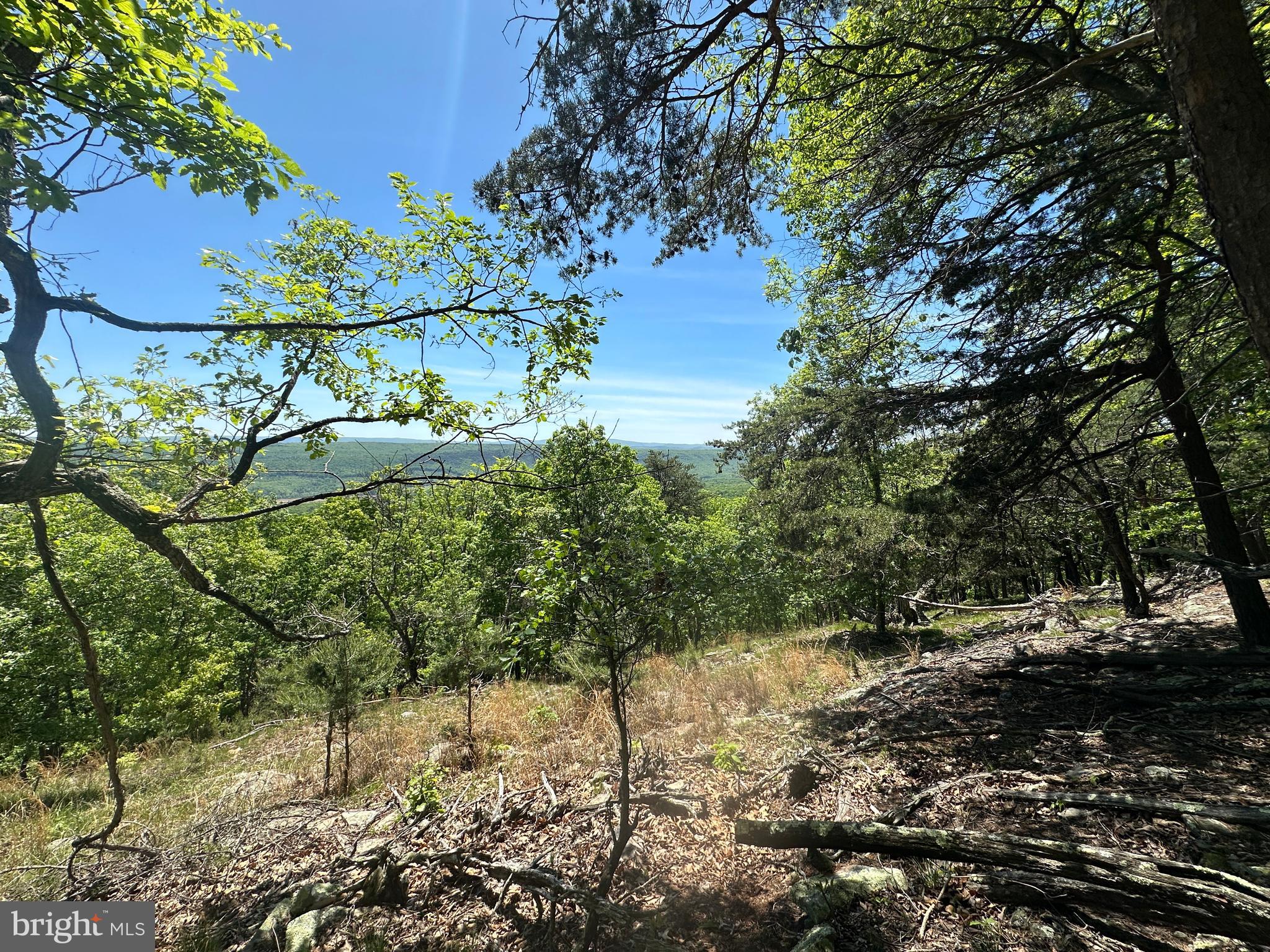 NONE UNRESTRICTED - Land