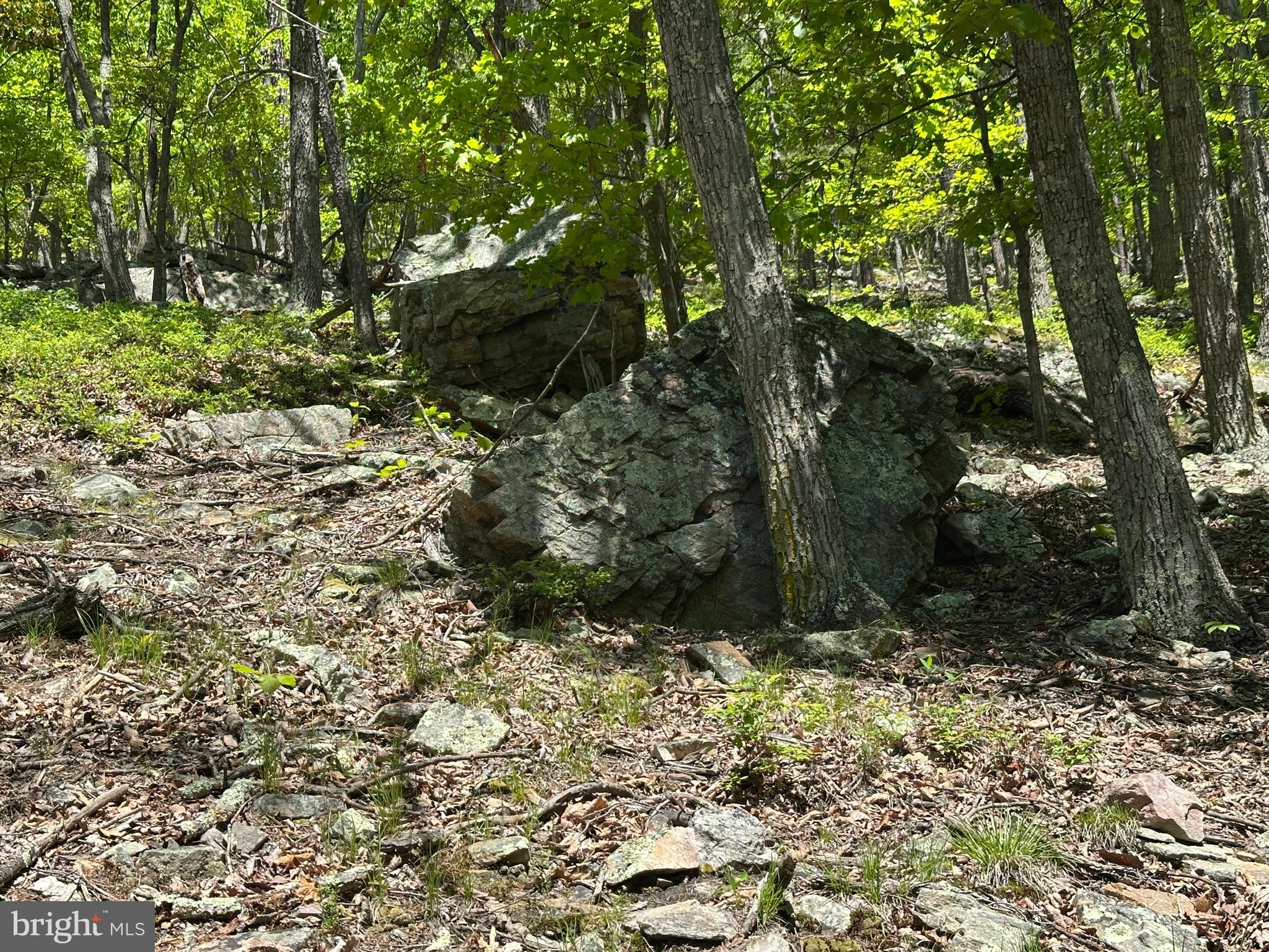 NONE UNRESTRICTED - Land