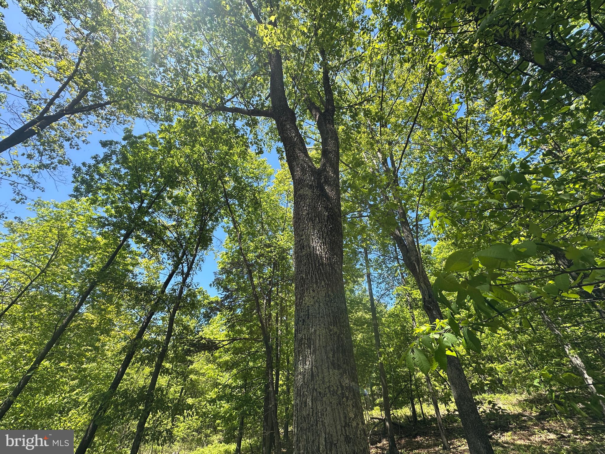 NONE UNRESTRICTED - Land