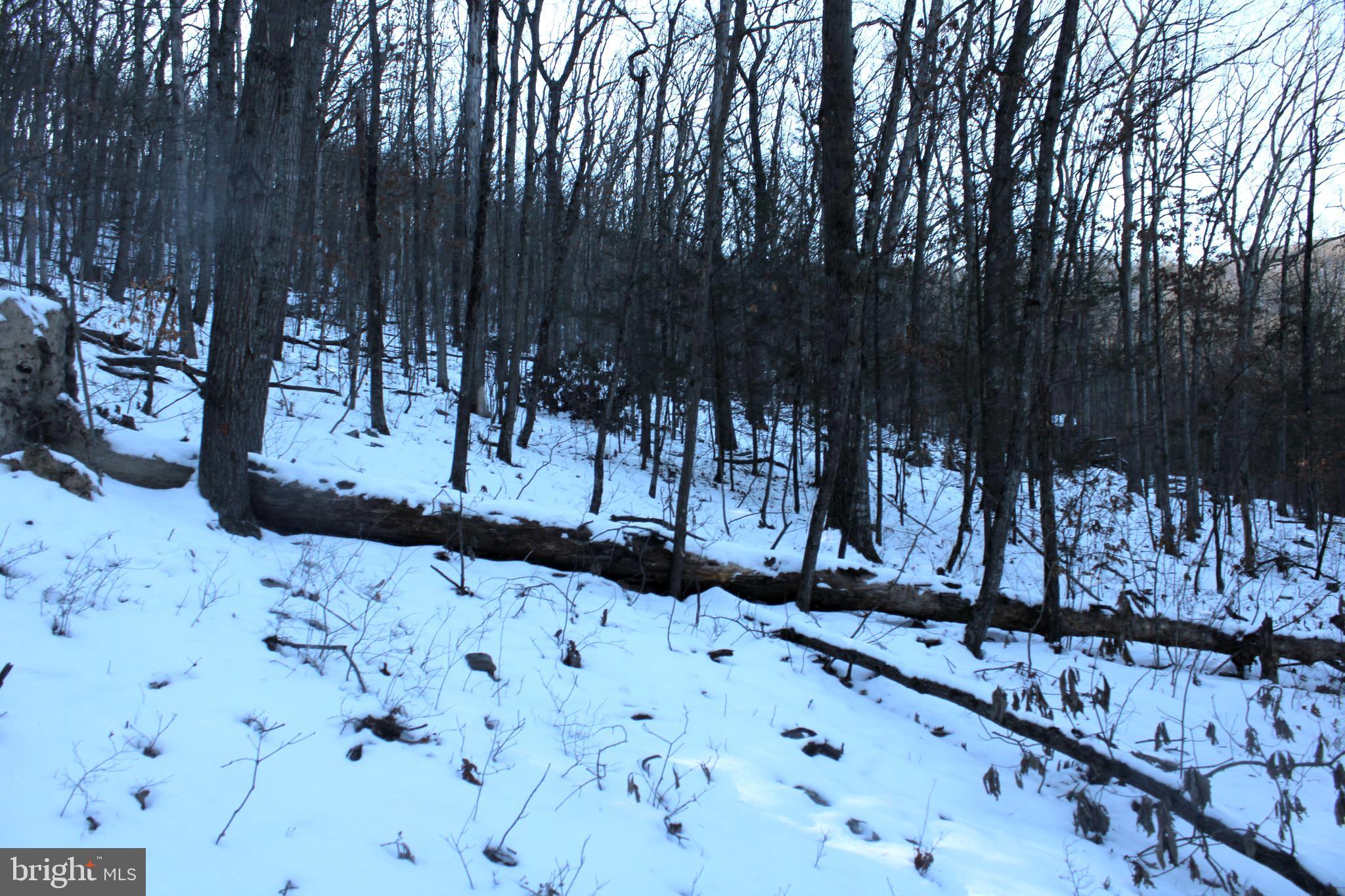 LAKE FERNDALE - Land