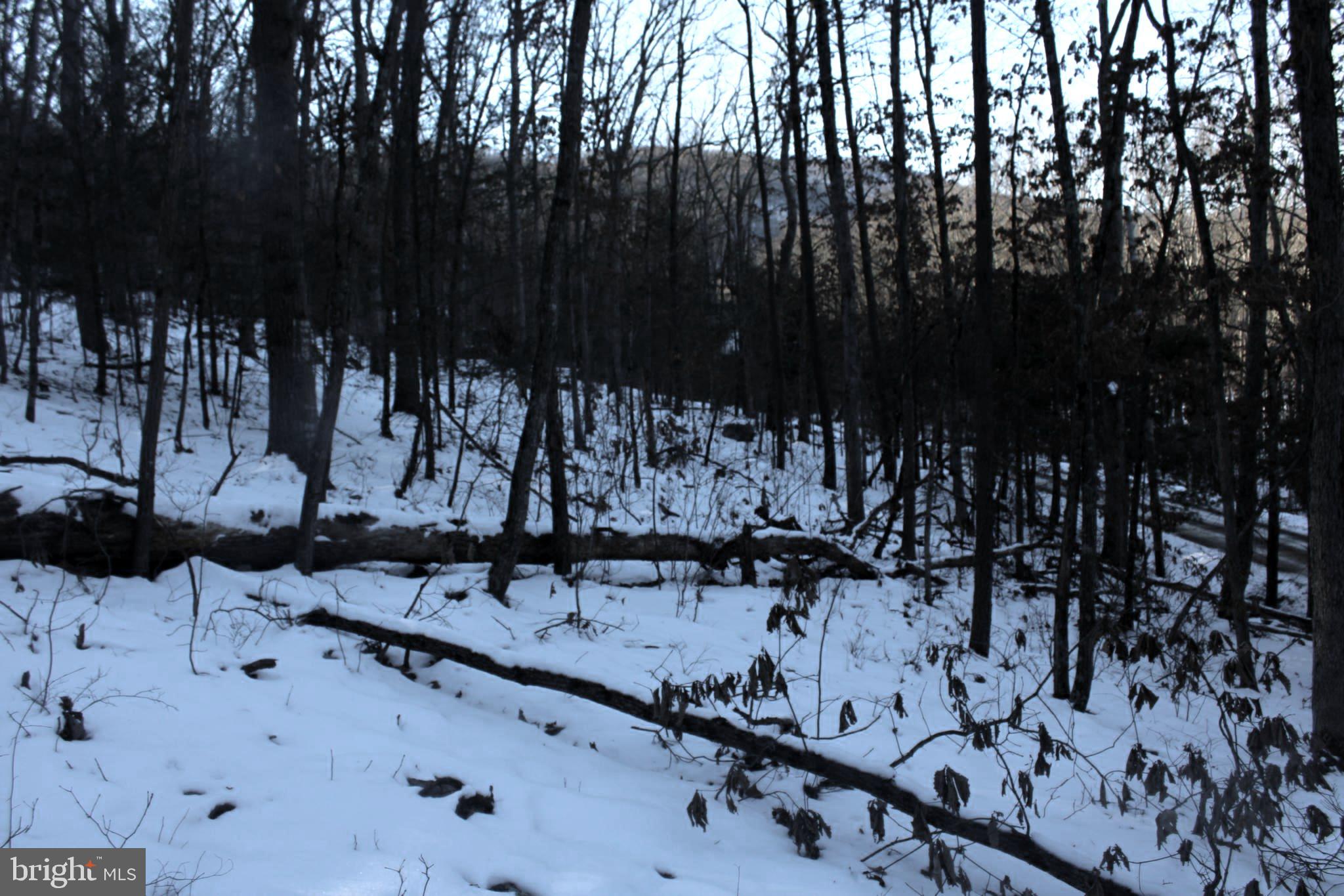 LAKE FERNDALE - Land