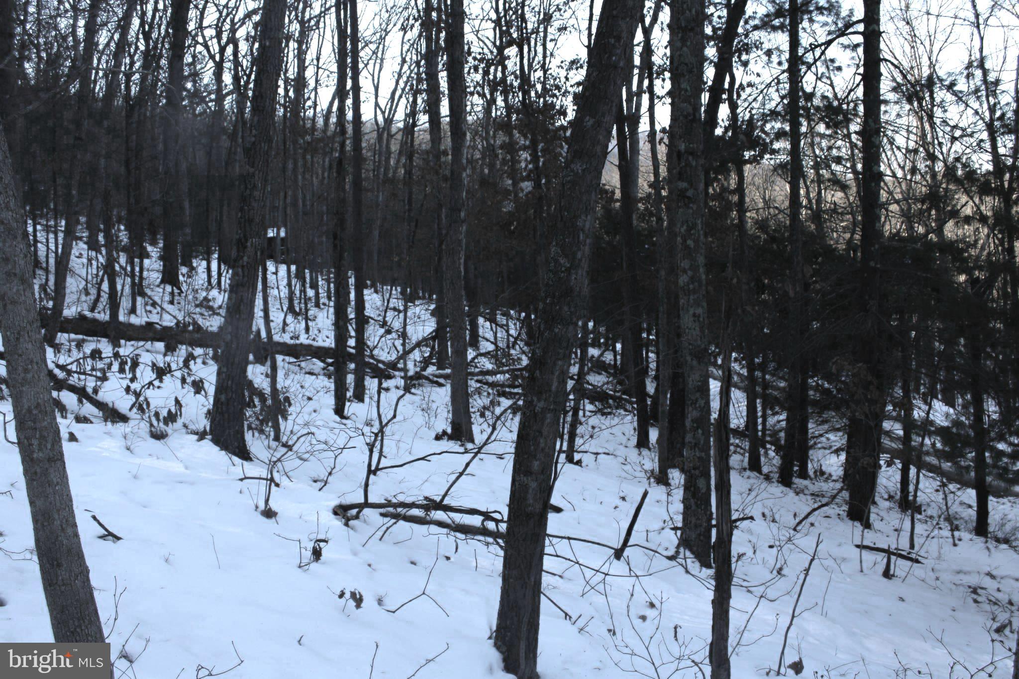 LAKE FERNDALE - Land