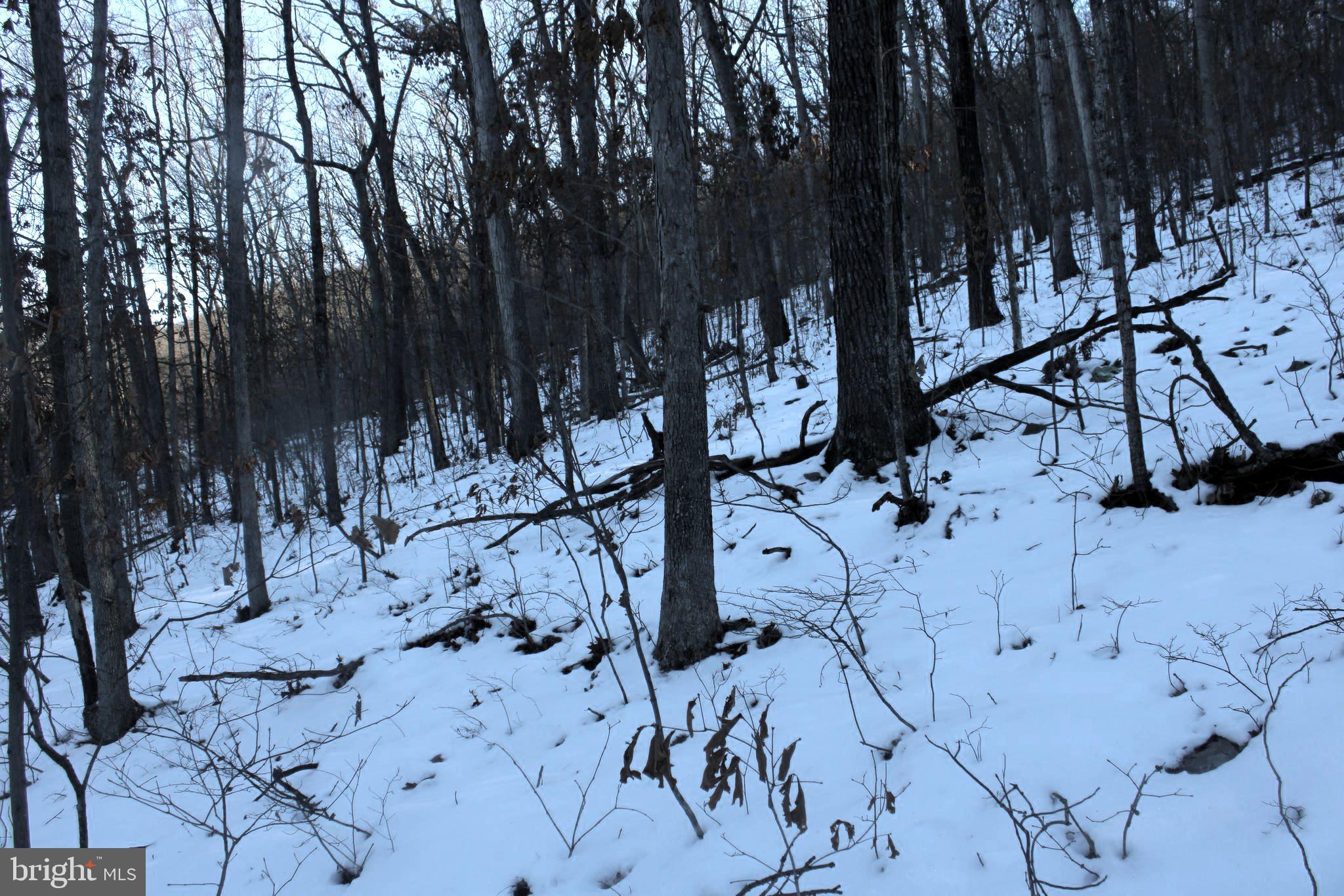 LAKE FERNDALE - Land