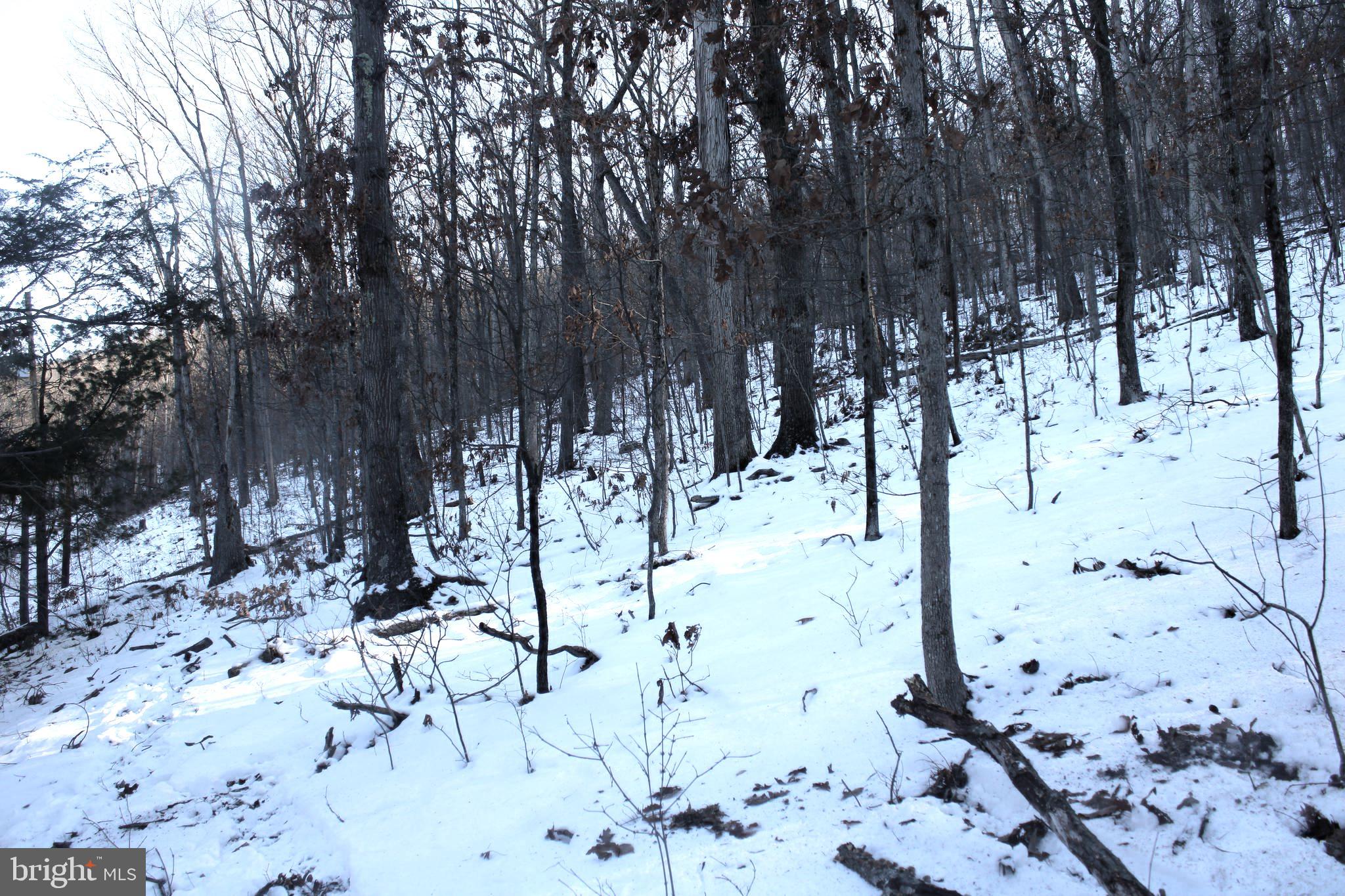 LAKE FERNDALE - Land