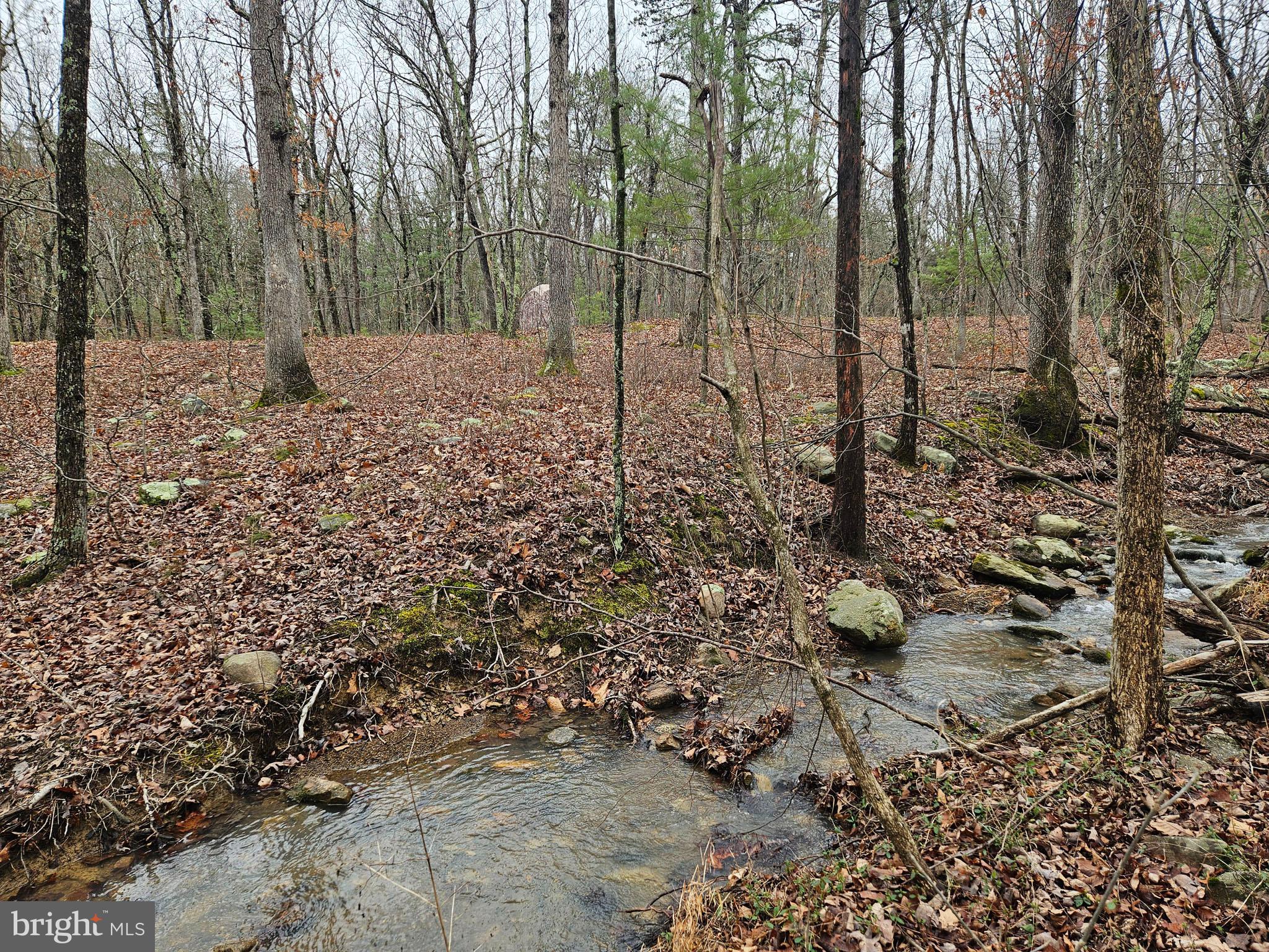 MASSANUTTEN FARMS WEST - Residential