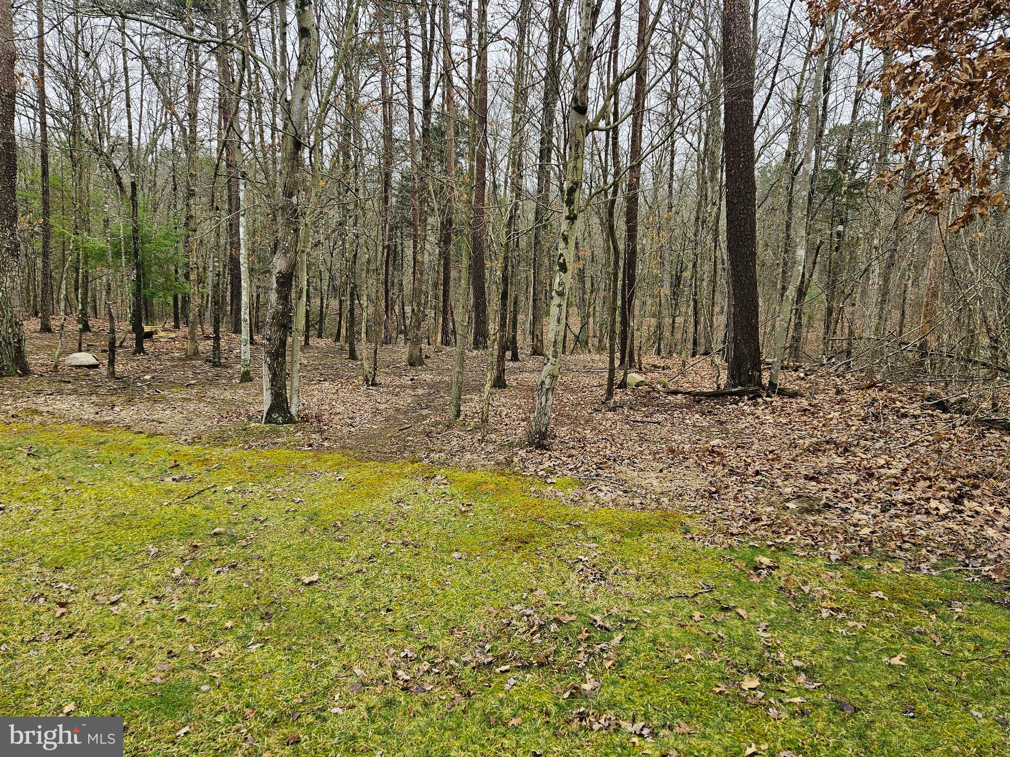 MASSANUTTEN FARMS WEST - Residential