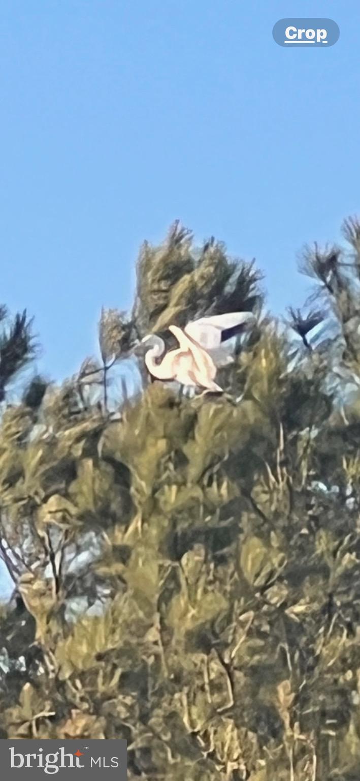 ASSATEAGUE PT RESORT - Residential