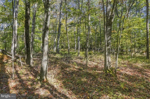 Photo for .94 ACRES MOSSER