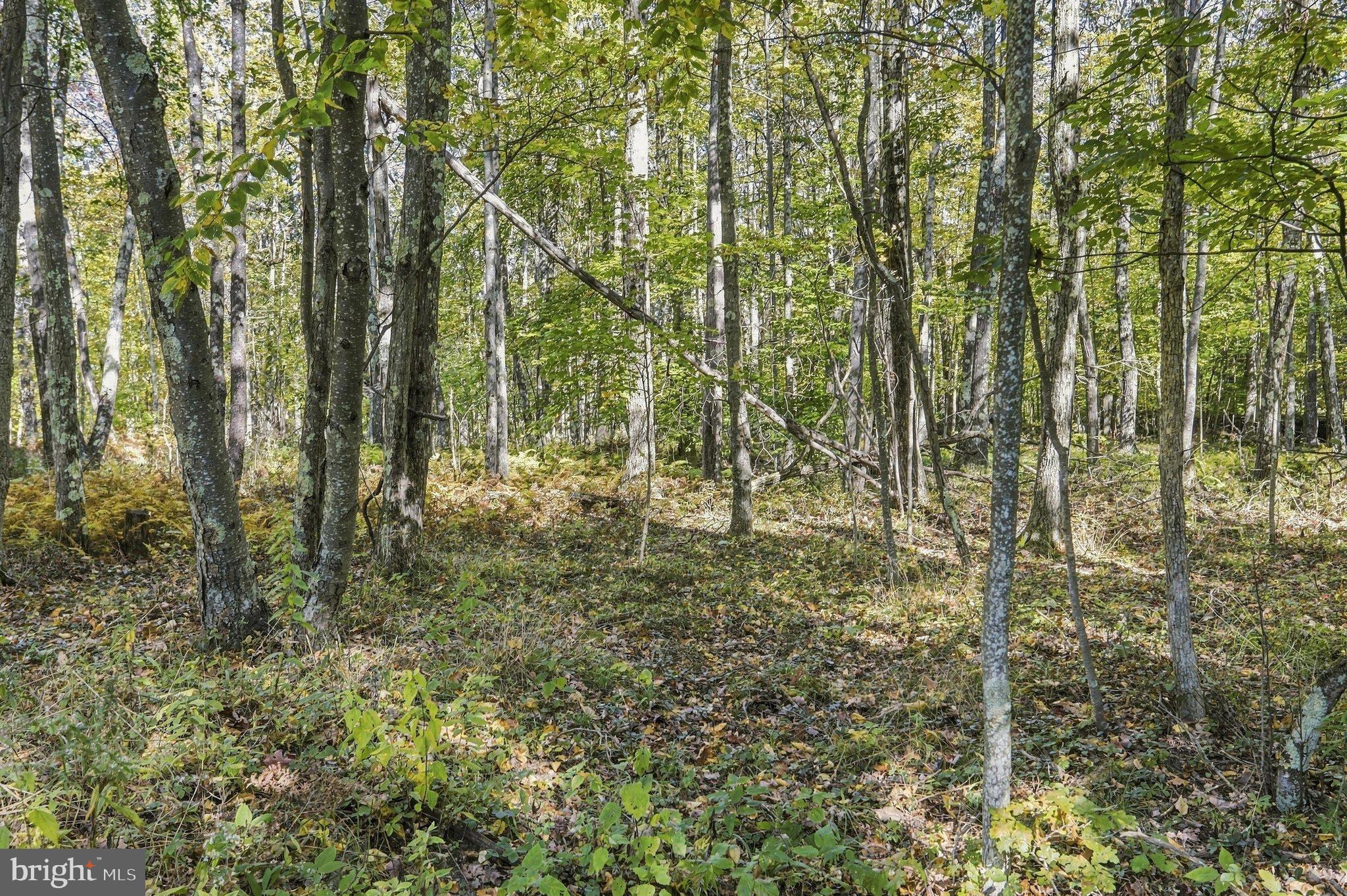.94 ACRES MOSSER